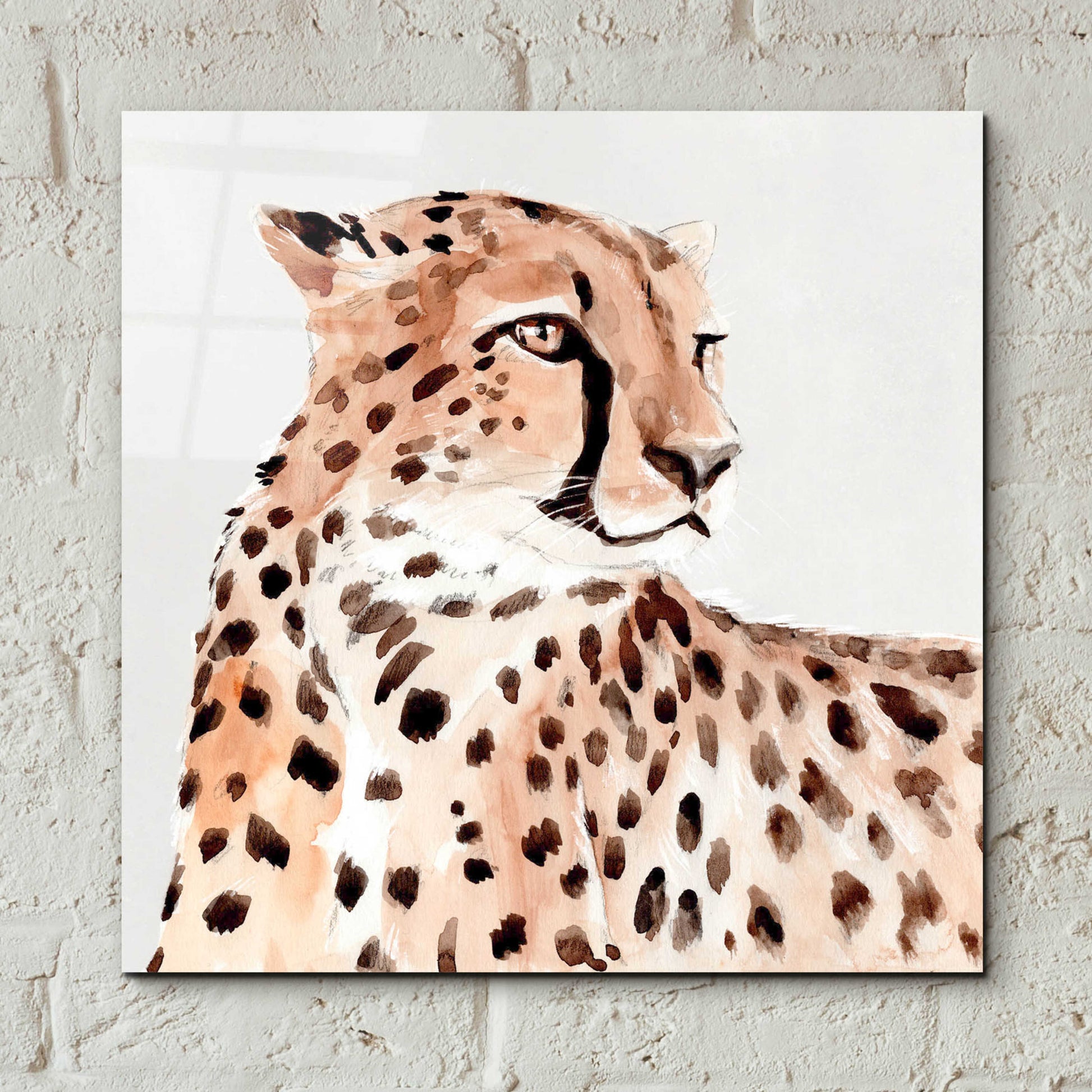 Epic Art 'Saharan Cheetah I' by Annie Warren, Acrylic Glass Wall Art,12x12