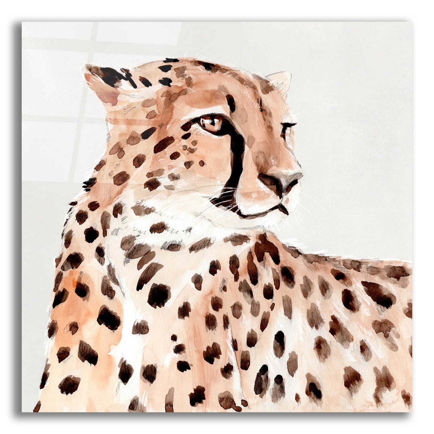 Epic Art 'Saharan Cheetah I' by Annie Warren, Acrylic Glass Wall Art,12x12