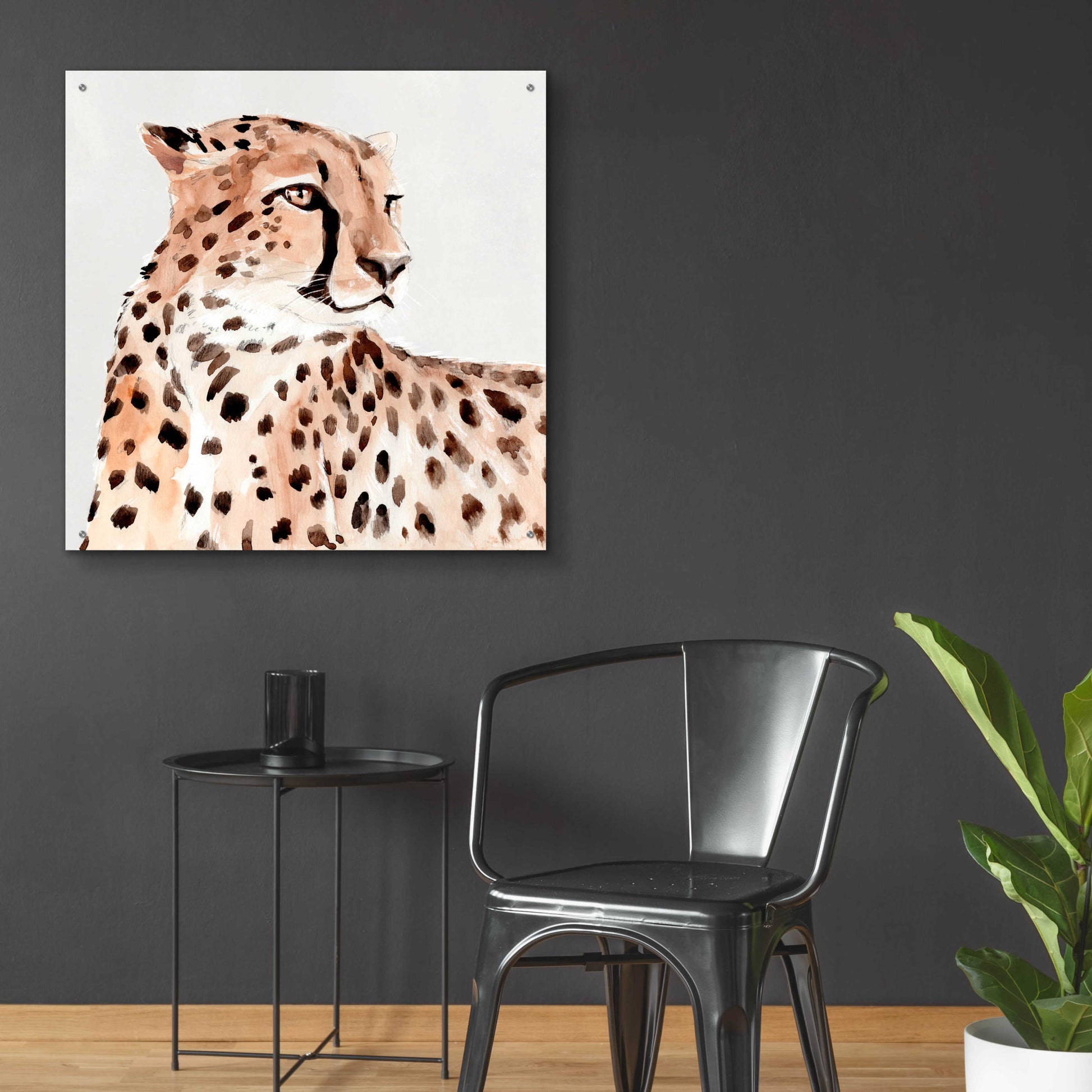 Epic Art 'Saharan Cheetah I' by Annie Warren, Acrylic Glass Wall Art,36x36