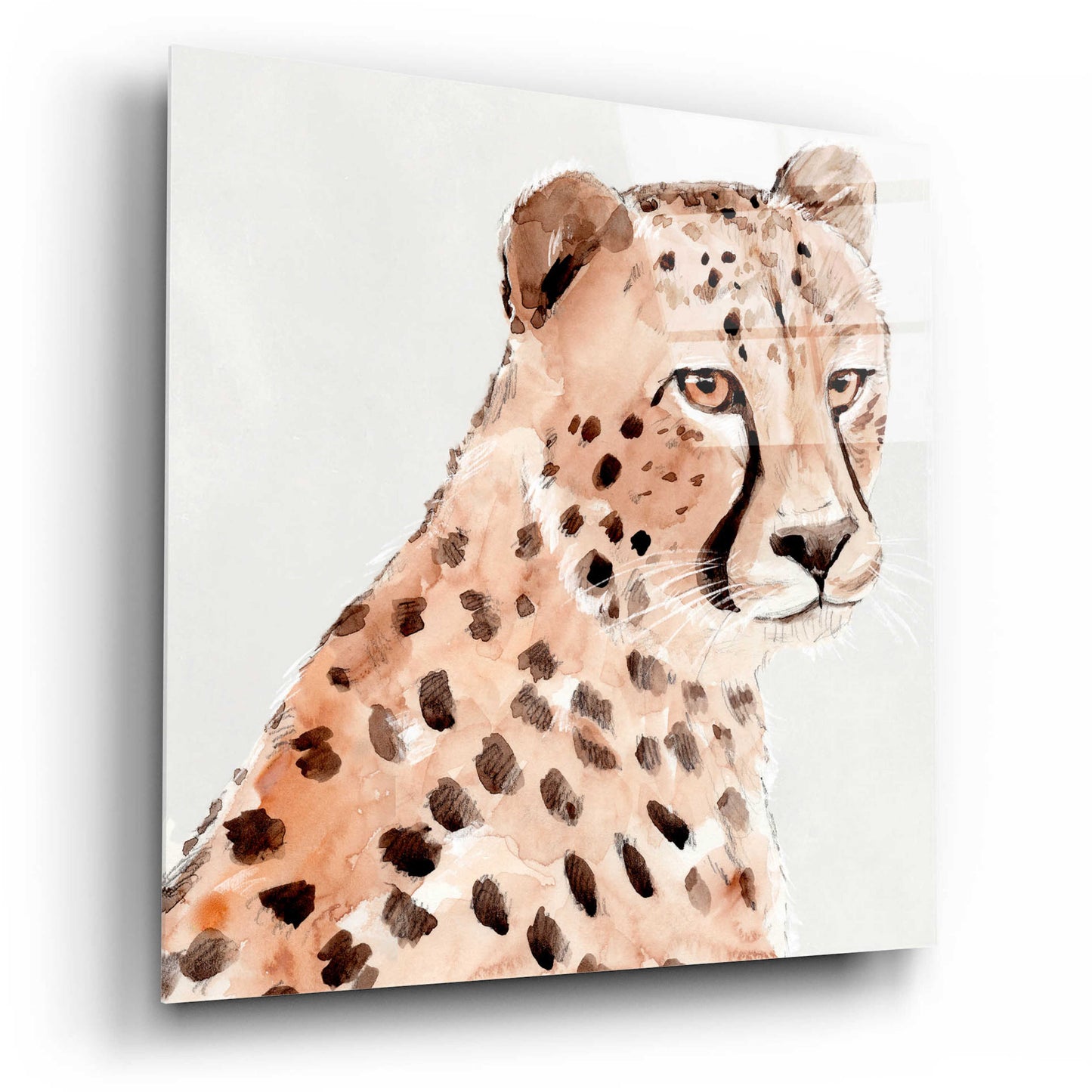 Epic Art 'Saharan Cheetah II' by Annie Warren, Acrylic Glass Wall Art,12x12