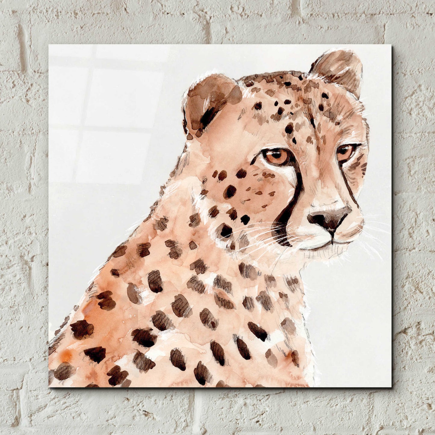 Epic Art 'Saharan Cheetah II' by Annie Warren, Acrylic Glass Wall Art,12x12