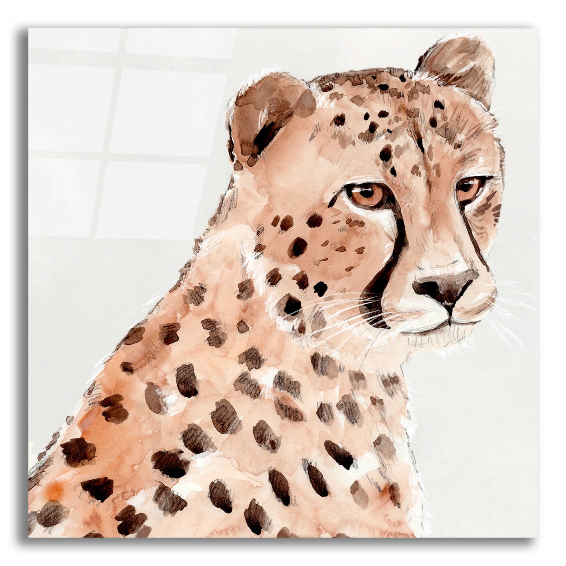 Epic Art 'Saharan Cheetah II' by Annie Warren, Acrylic Glass Wall Art,12x12