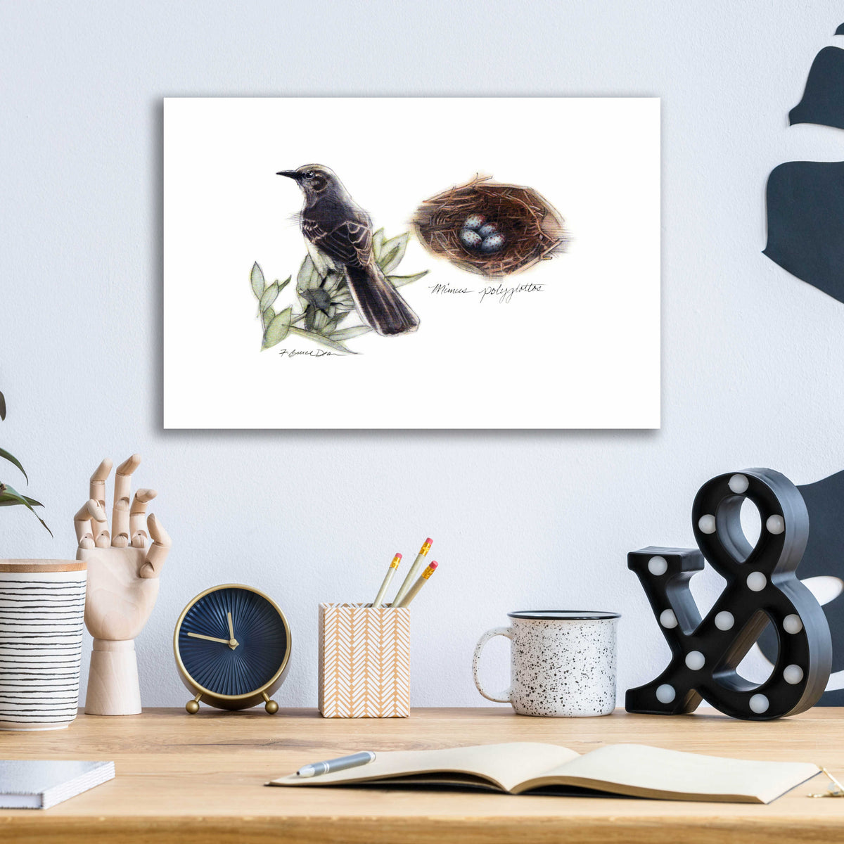 Bird & Nest Study I by Bruce Dean - 16x12 acrylic wall art in a room