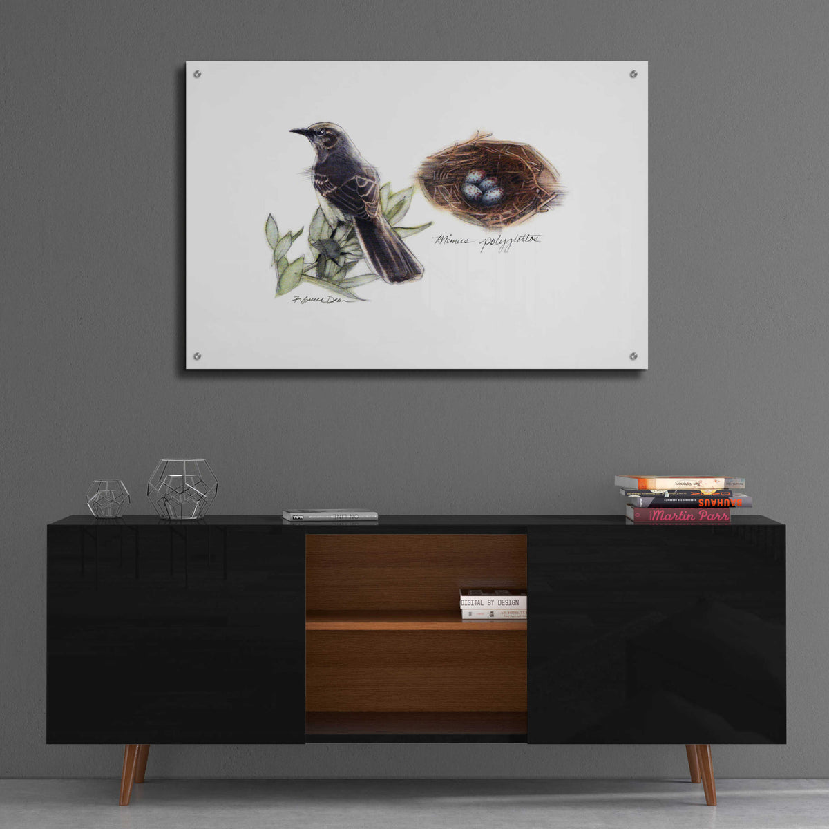 Bird & Nest Study I by Bruce Dean - 36x24 acrylic wall art in a room