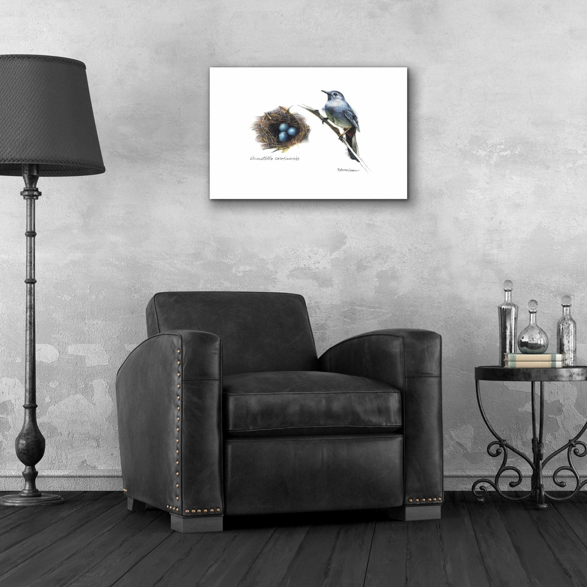 Bird & Nest Study II by Bruce Dean - 24x16 acrylic wall art in a room