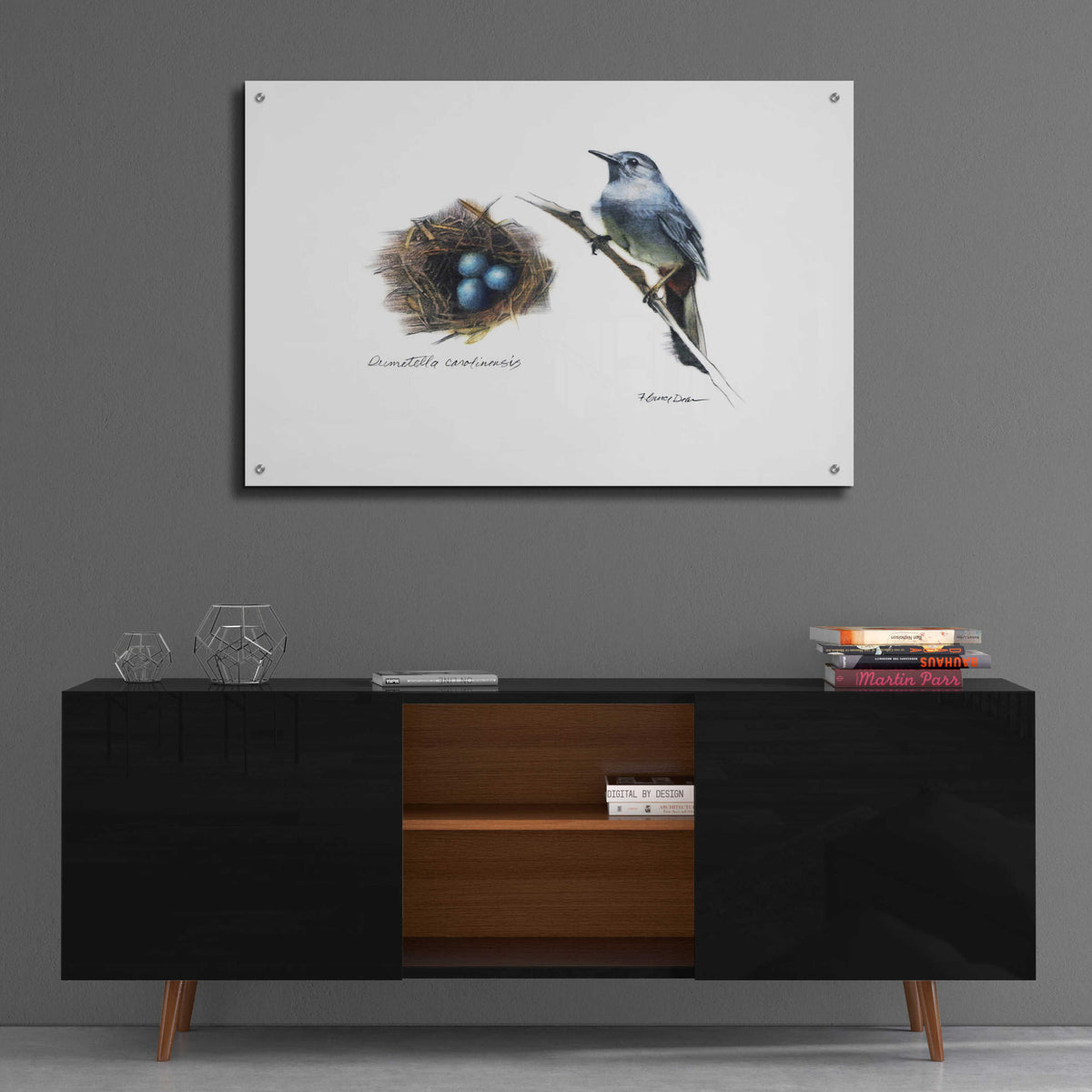 Bird & Nest Study II by Bruce Dean - 36x24 acrylic wall art in a room