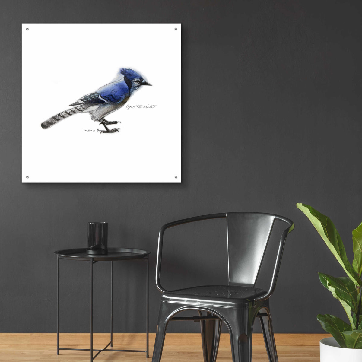 Songbird Study III by Bruce Dean - 36x36 acrylic wall art in a room