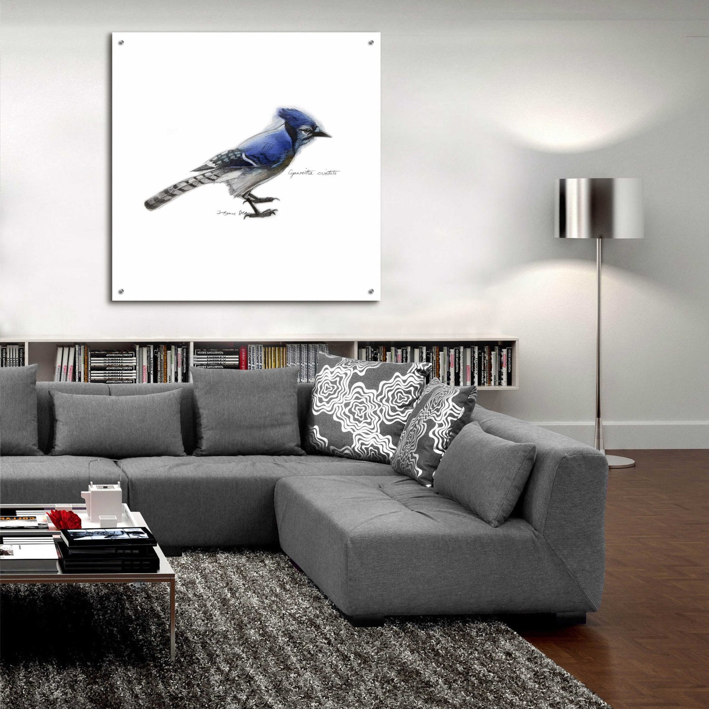 Epic Art 'Songbird Study III' by Bruce Dean, Acrylic Glass Wall Art,36x36