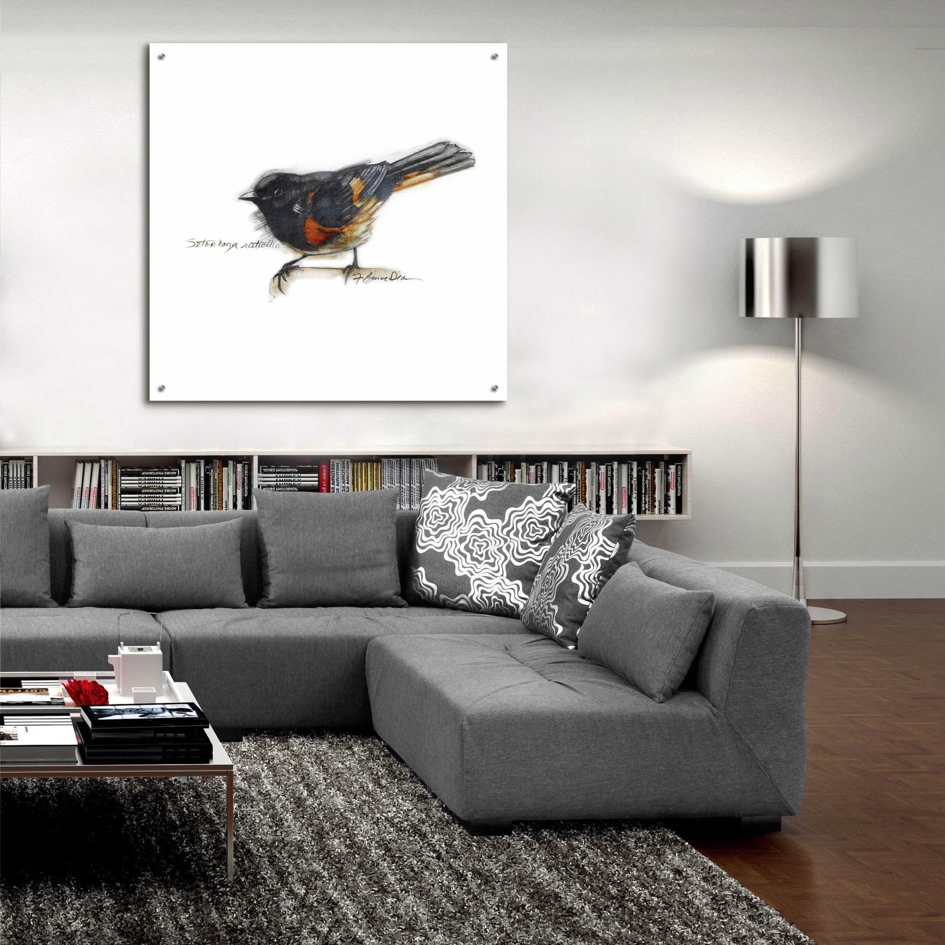 Epic Art 'Songbird Study IV' by Bruce Dean, Acrylic Glass Wall Art,36x36