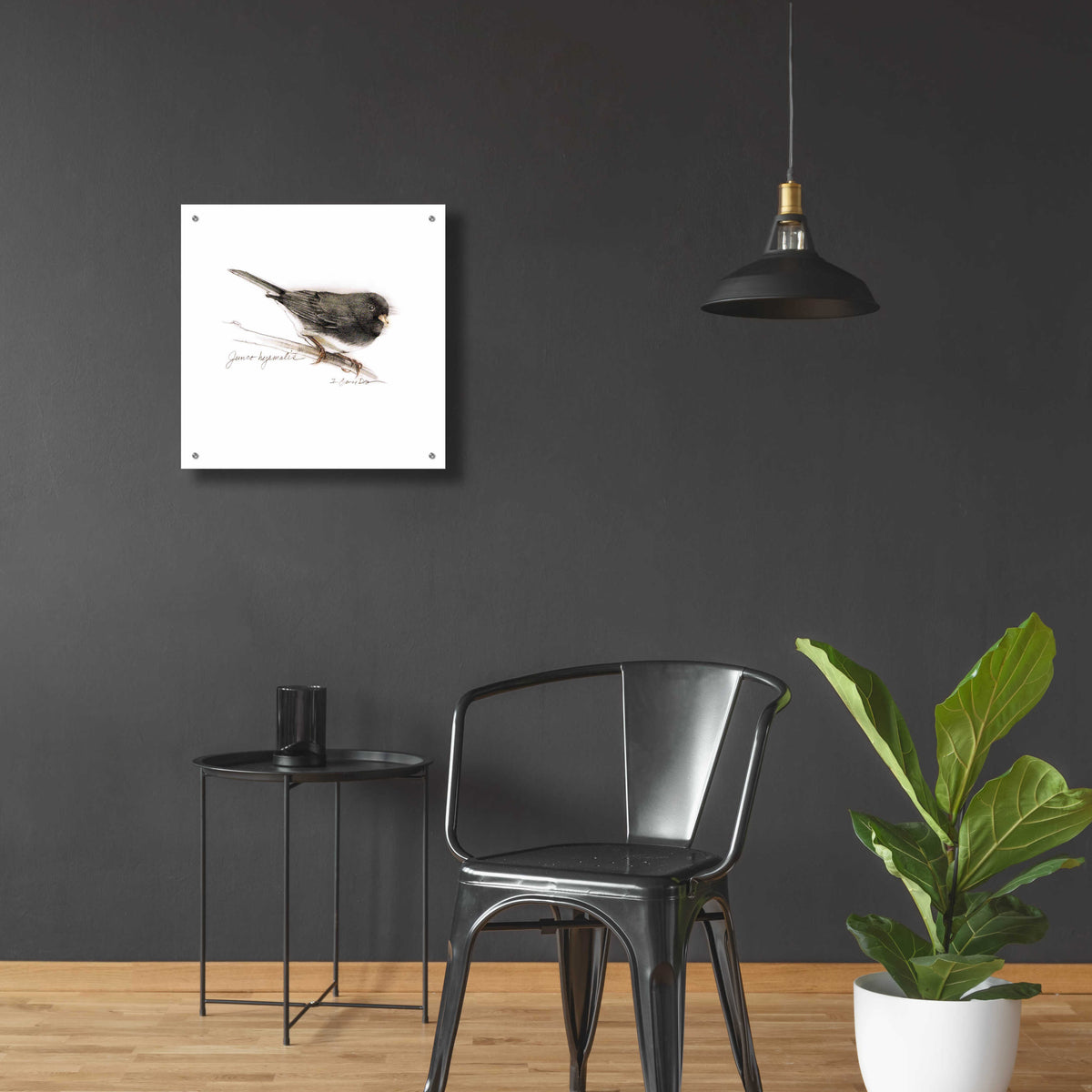 Songbird Study V by Bruce Dean - 24x24 acrylic wall art in a room