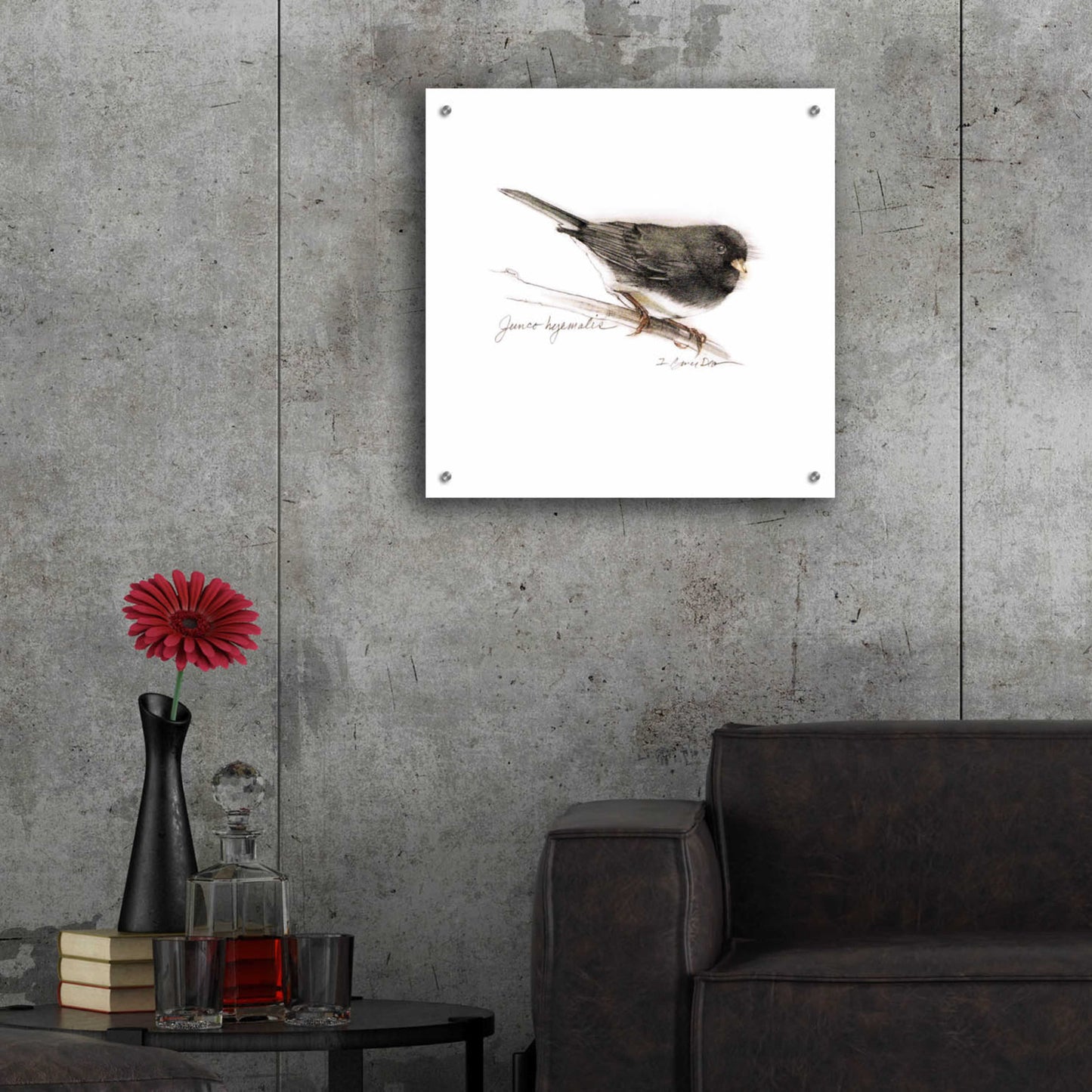 Epic Art 'Songbird Study V' by Bruce Dean, Acrylic Glass Wall Art,24x24