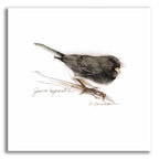 Songbird Study V by Bruce Dean acrylic glass wall art