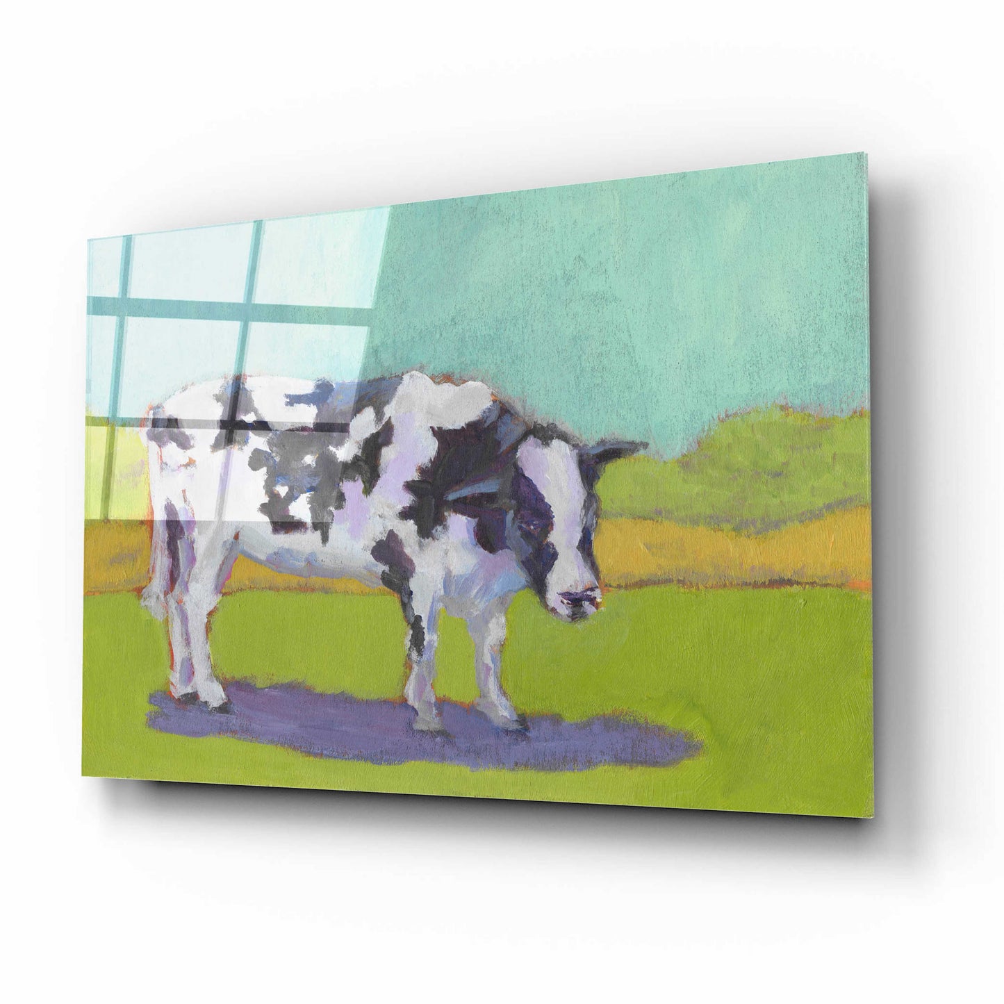 Epic Art 'Pasture Cow I' by Carol Young, Acrylic Glass Wall Art,16x12