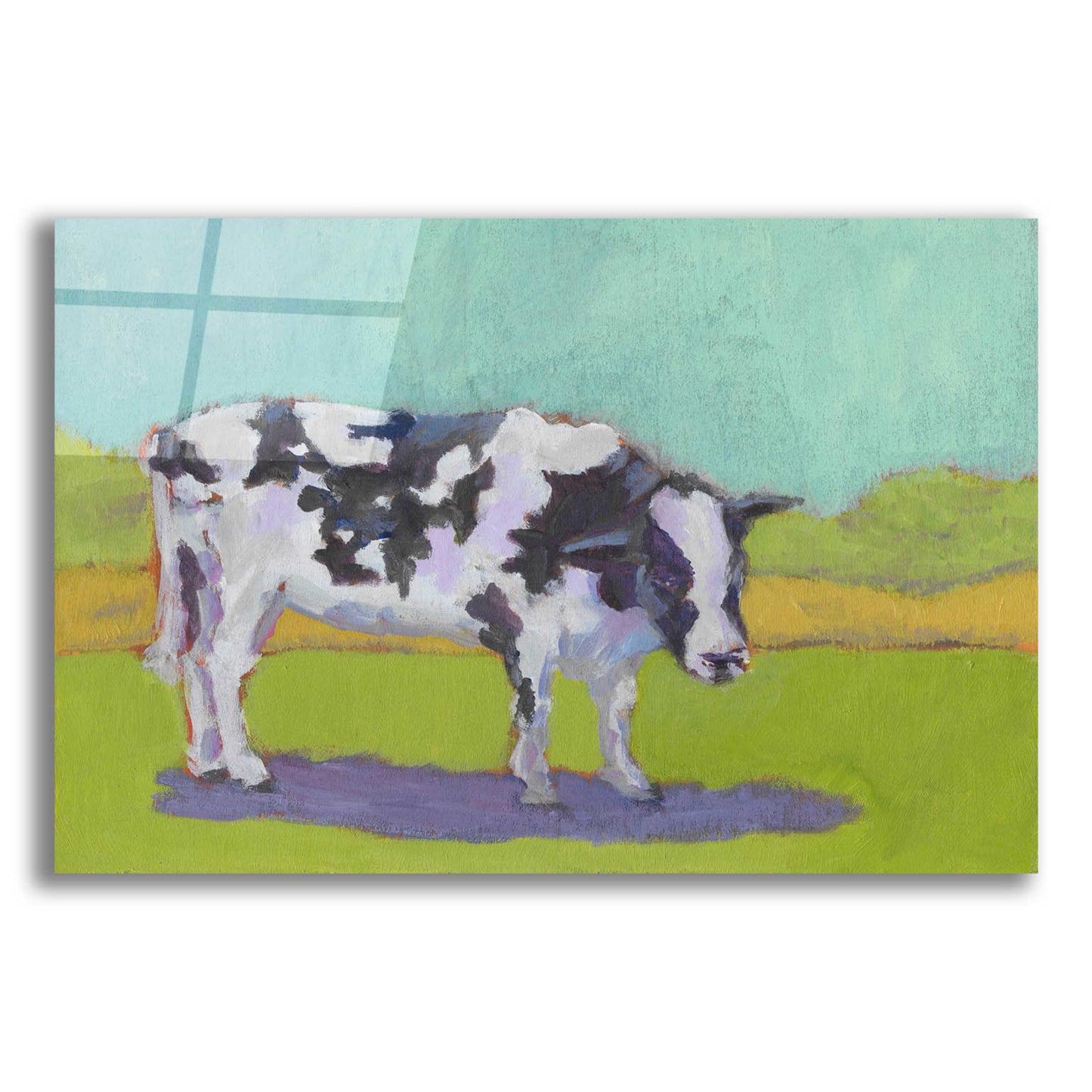 Epic Art 'Pasture Cow I' by Carol Young, Acrylic Glass Wall Art,16x12