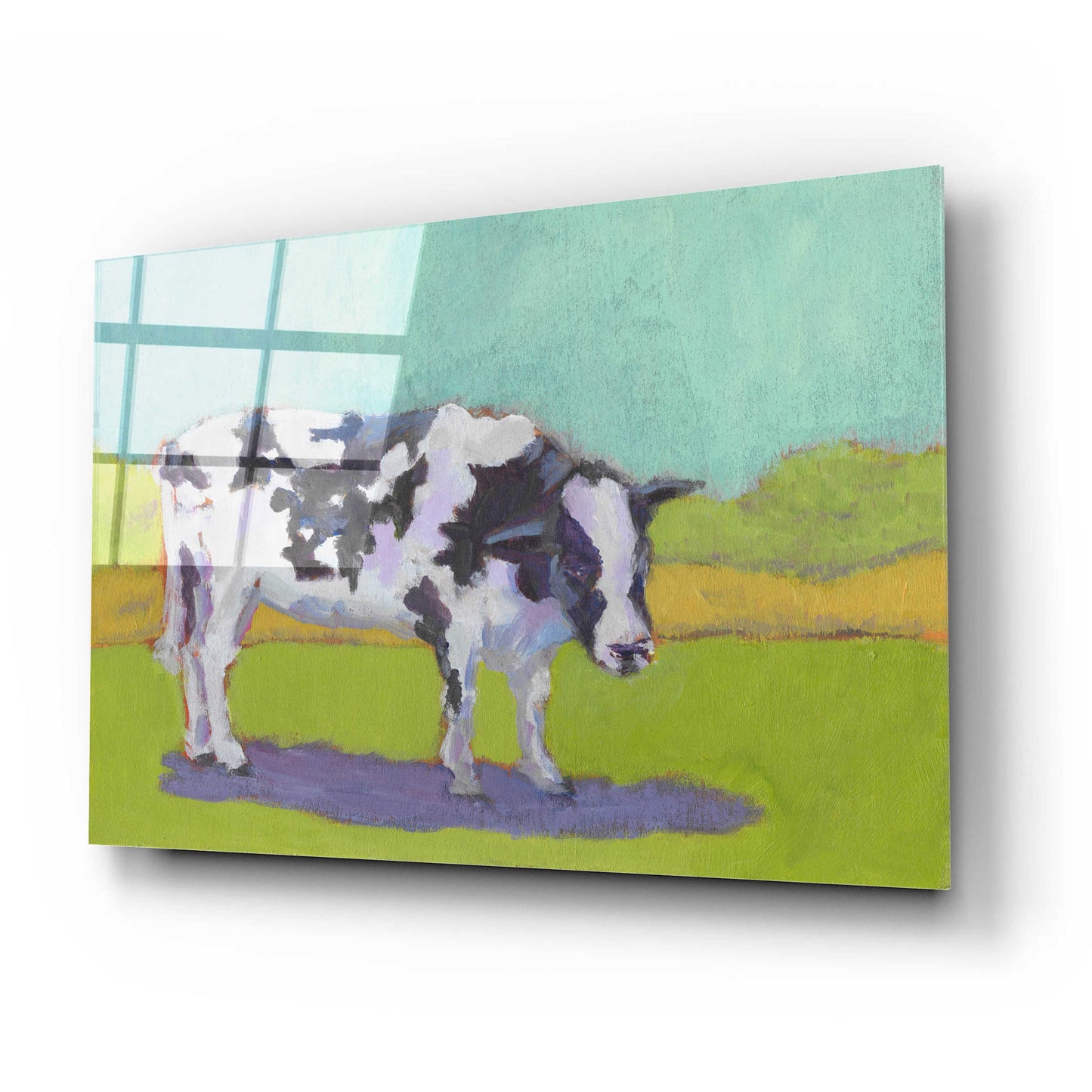 Epic Art 'Pasture Cow I' by Carol Young, Acrylic Glass Wall Art,24x16