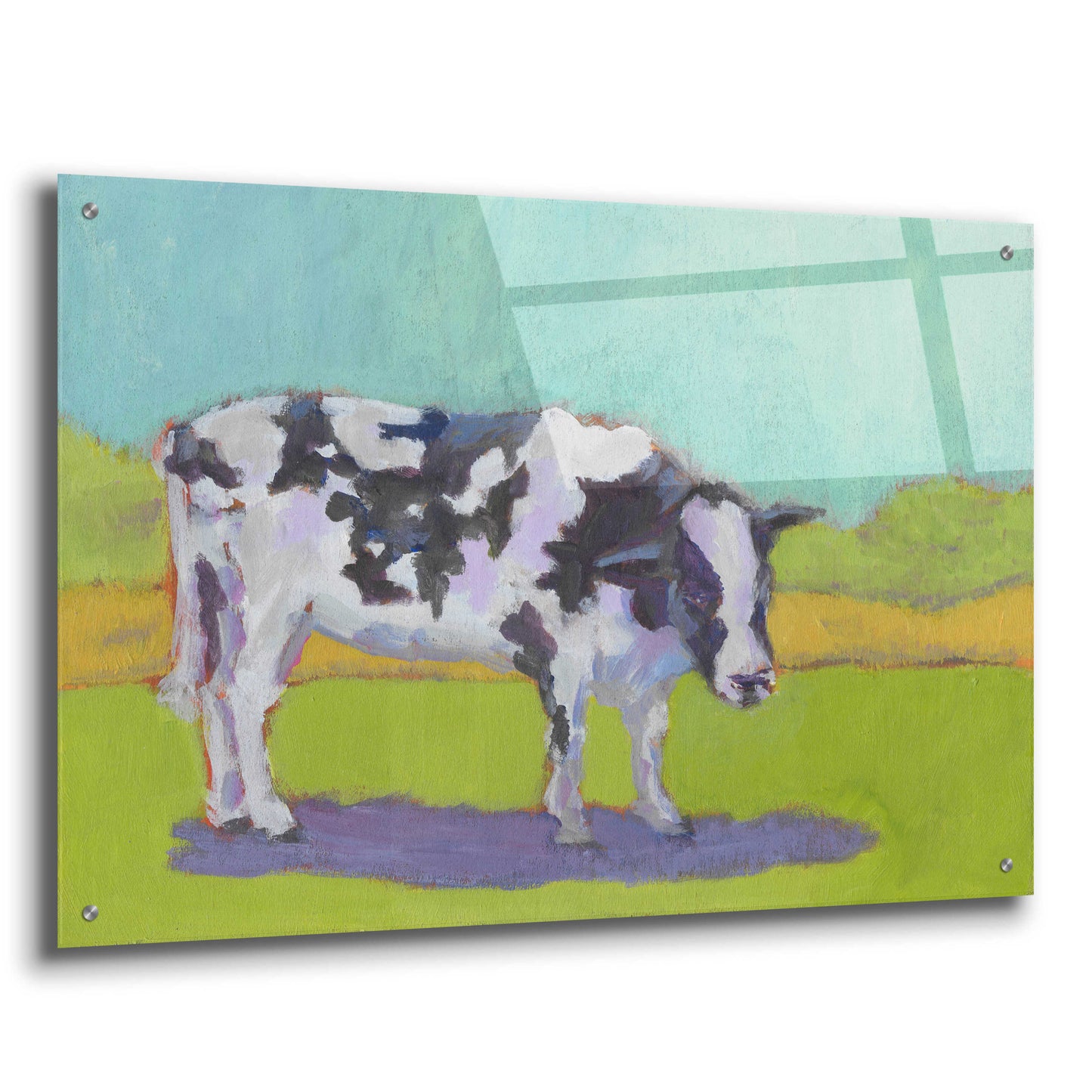 Epic Art 'Pasture Cow I' by Carol Young, Acrylic Glass Wall Art,36x24