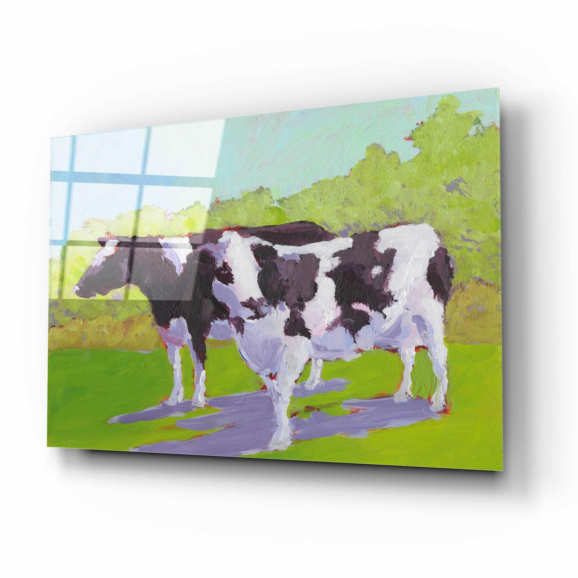 Epic Art 'Pasture Cows II' by Carol Young, Acrylic Glass Wall Art,16x12