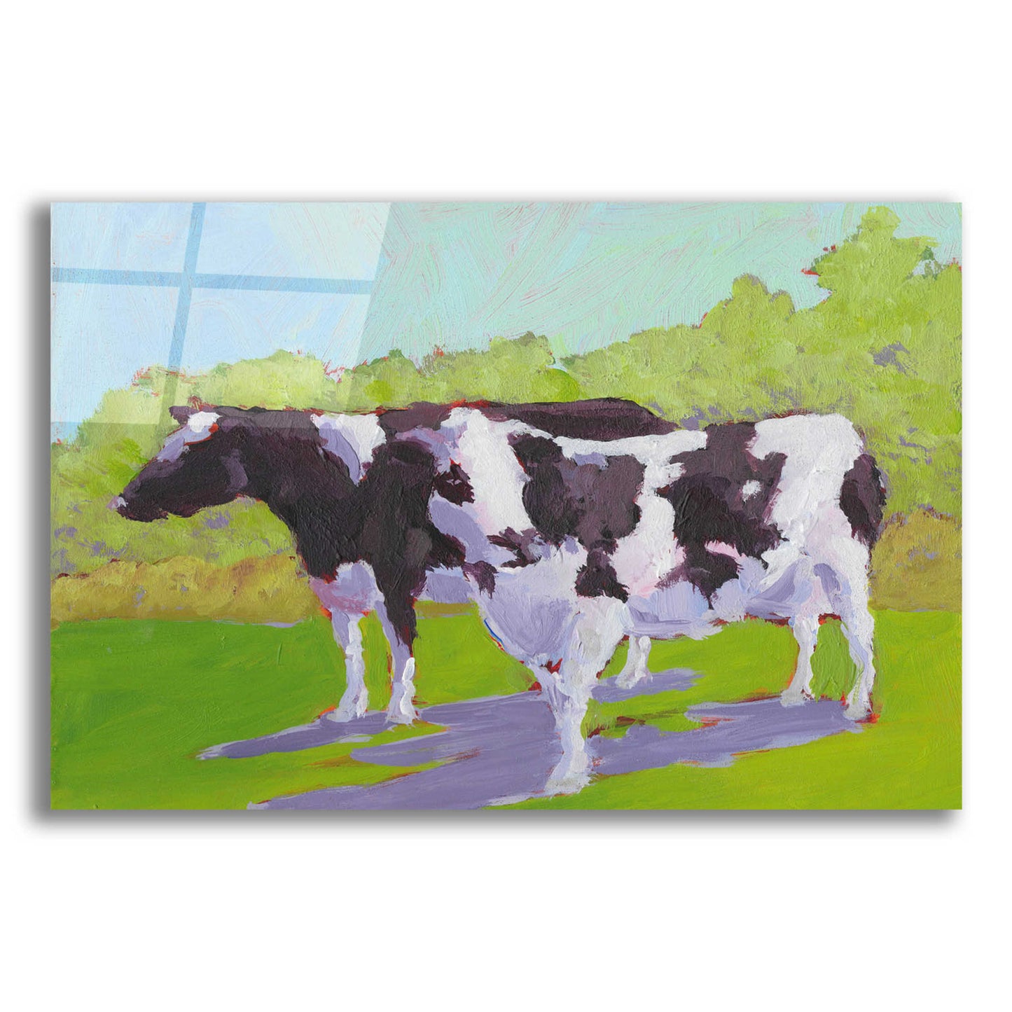 Epic Art 'Pasture Cows II' by Carol Young, Acrylic Glass Wall Art,16x12