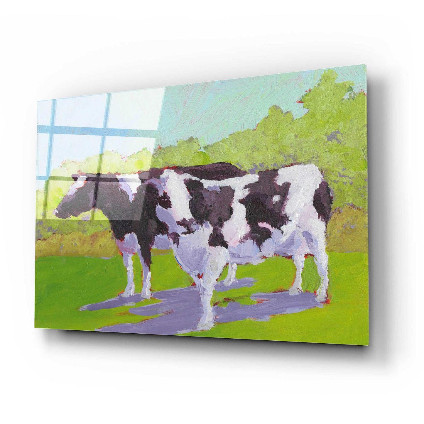 Epic Art 'Pasture Cows II' by Carol Young, Acrylic Glass Wall Art,24x16