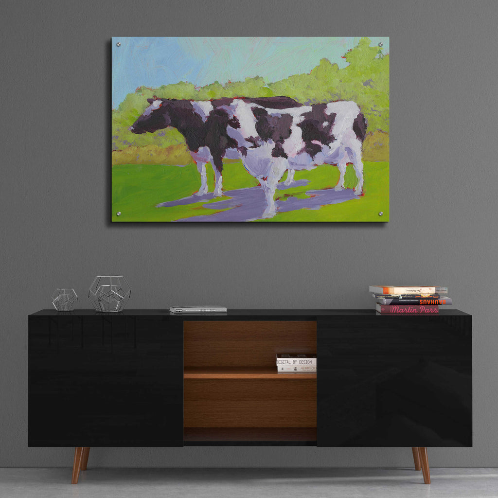 Epic Art 'Pasture Cows II' by Carol Young, Acrylic Glass Wall Art,36x24