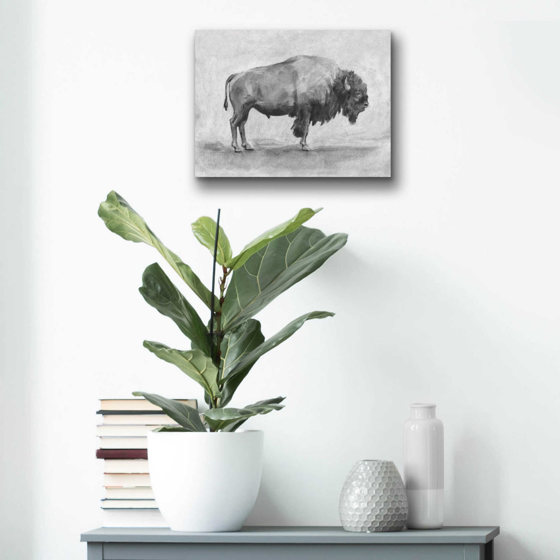 Epic Art 'Wild Bison Study I' by Emma Scarvey, Acrylic Glass Wall Art,16x12