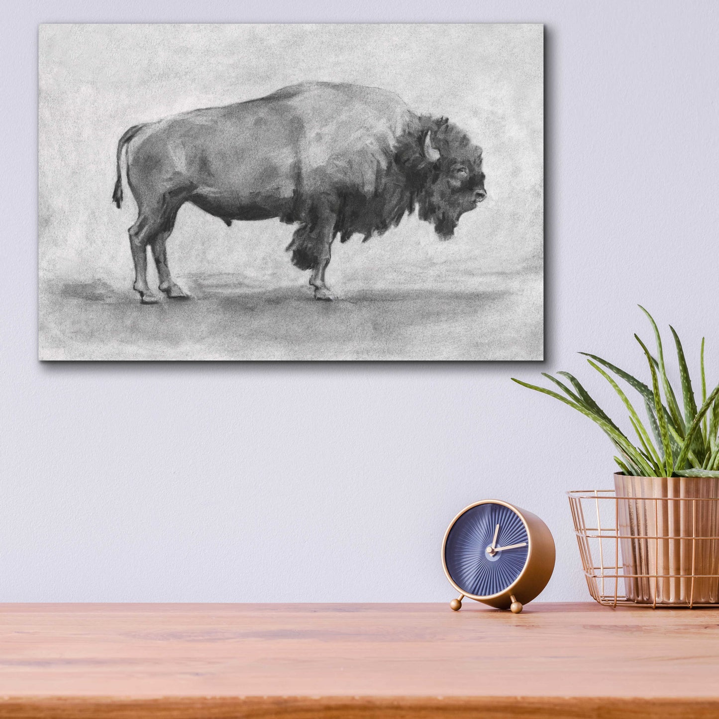 Epic Art 'Wild Bison Study I' by Emma Scarvey, Acrylic Glass Wall Art,16x12