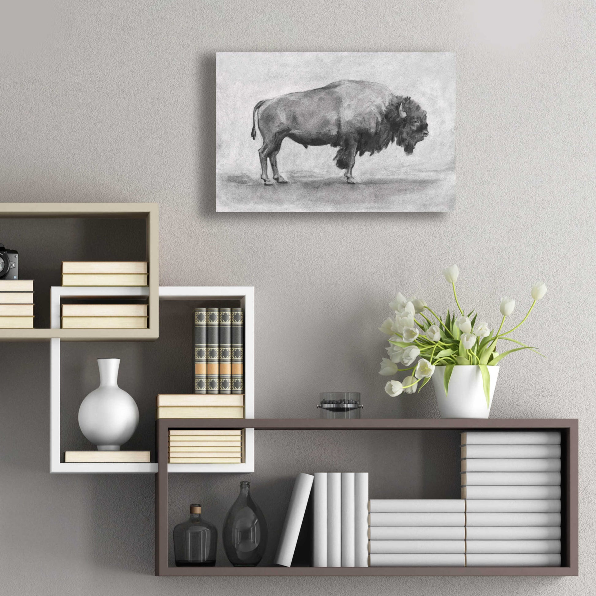 Epic Art 'Wild Bison Study I' by Emma Scarvey, Acrylic Glass Wall Art,24x16