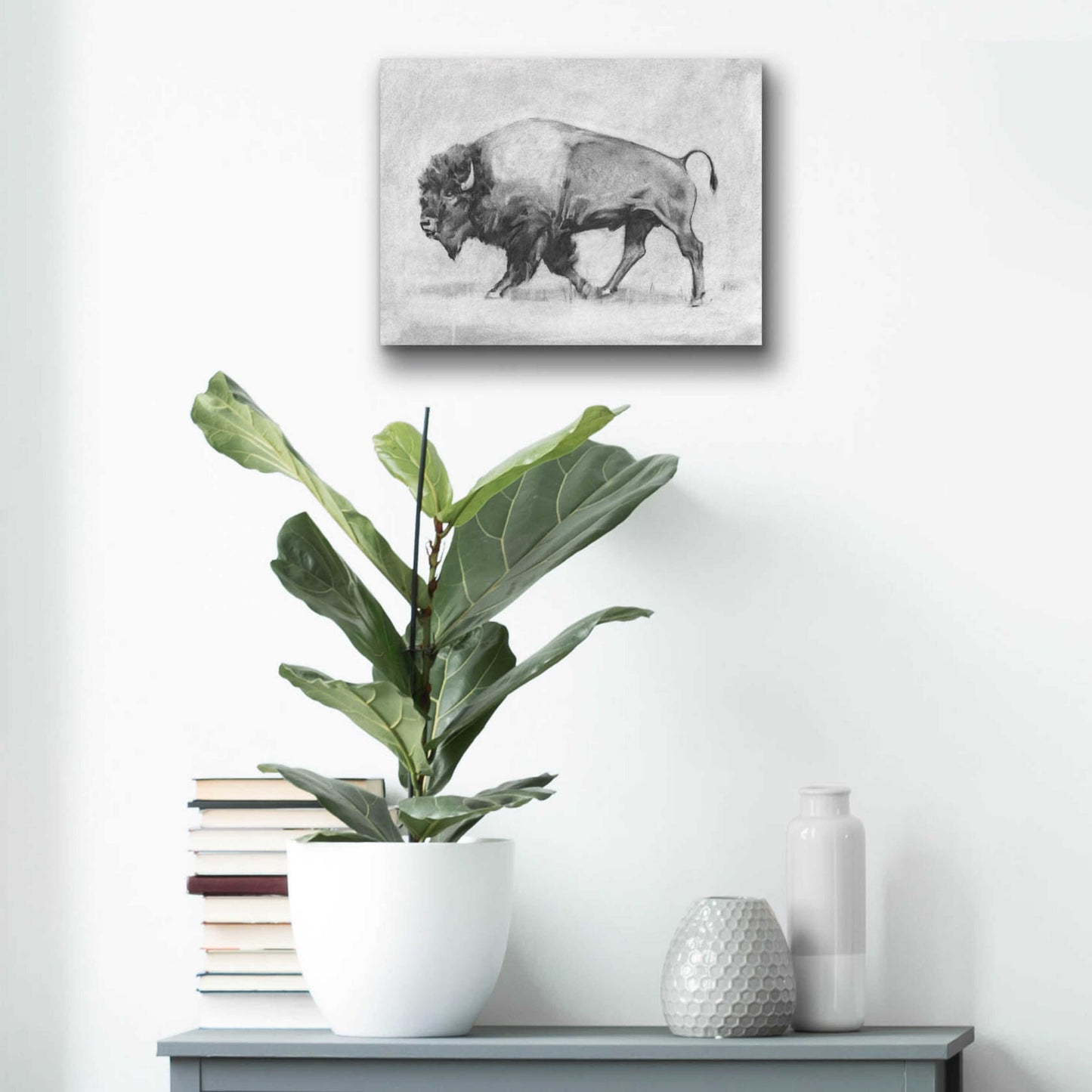 Epic Art 'Wild Bison Study II' by Emma Scarvey, Acrylic Glass Wall Art,16x12