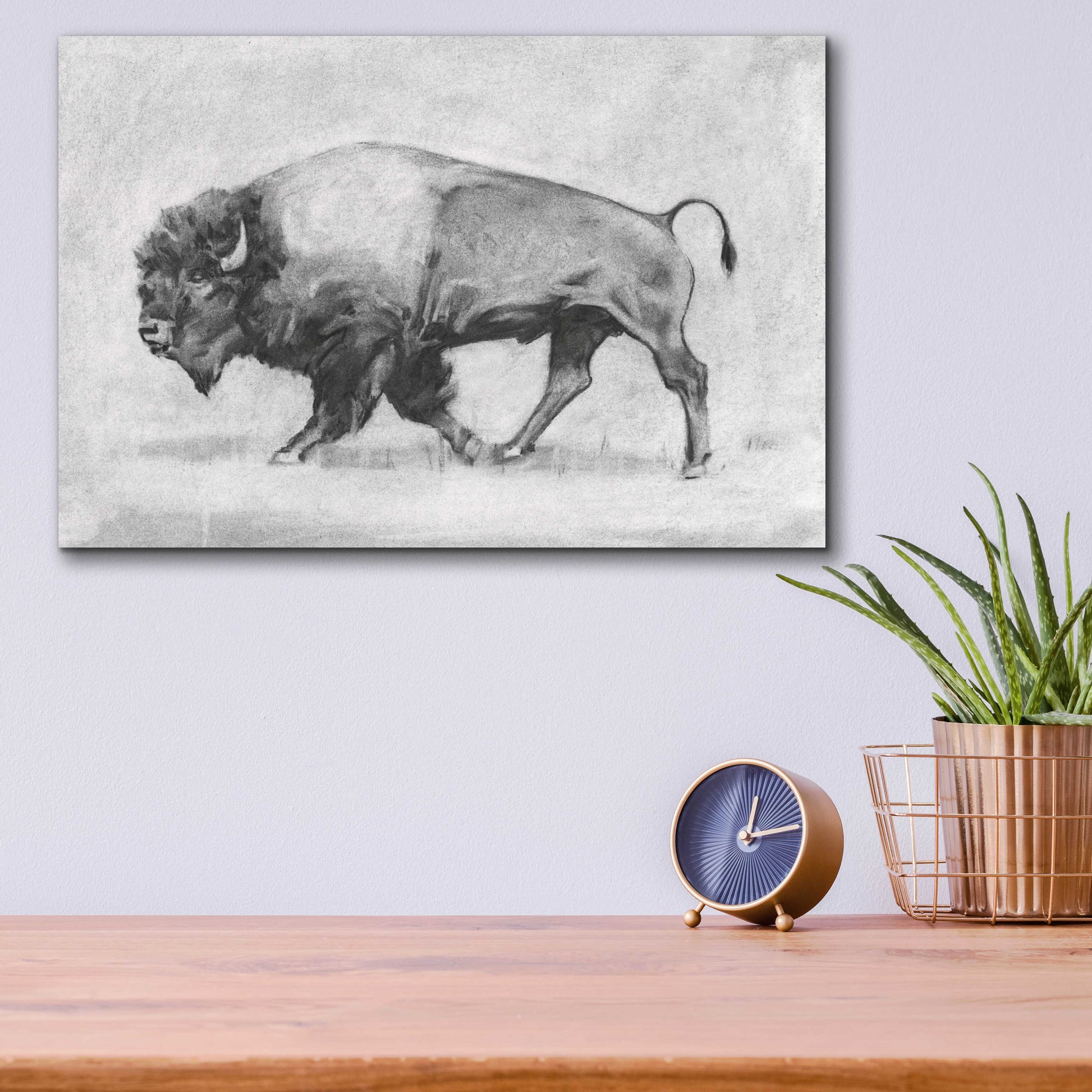 Epic Art 'Wild Bison Study II' by Emma Scarvey, Acrylic Glass Wall Art,16x12