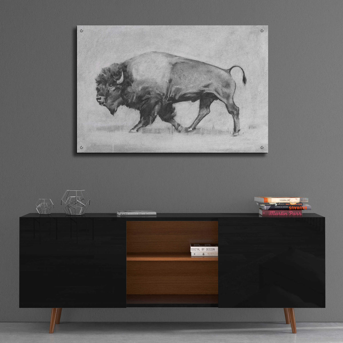 Epic Art 'Wild Bison Study II' by Emma Scarvey, Acrylic Glass Wall Art,36x24
