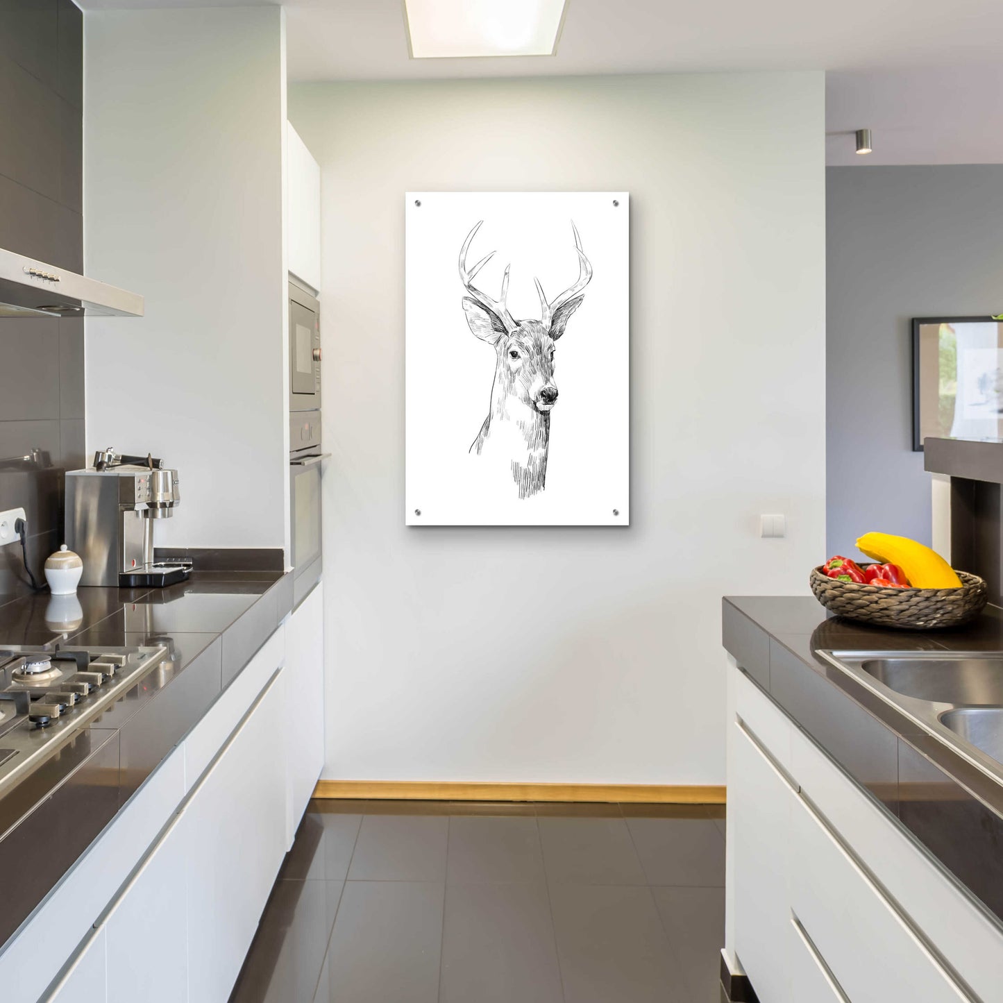 Epic Art 'Young Buck Sketch I' by Emma Scarvey, Acrylic Glass Wall Art,24x36