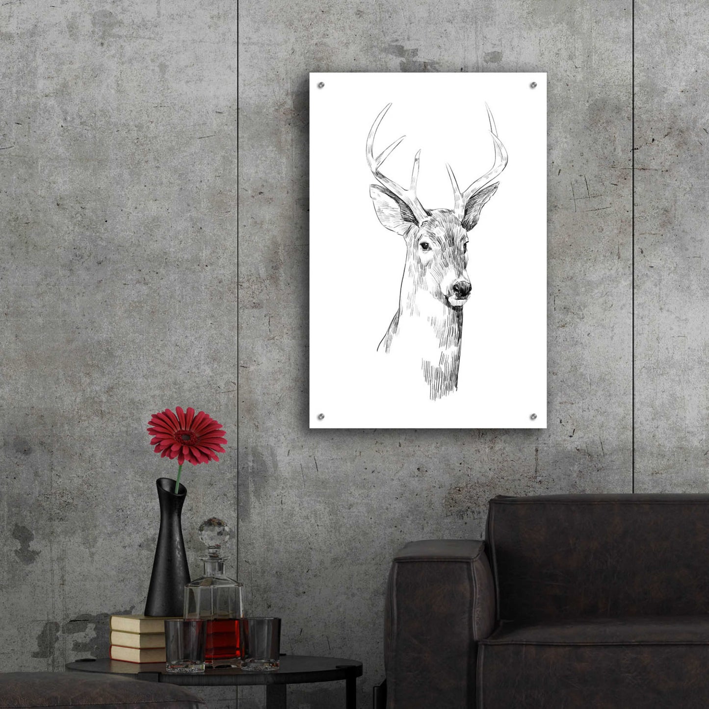 Epic Art 'Young Buck Sketch I' by Emma Scarvey, Acrylic Glass Wall Art,24x36