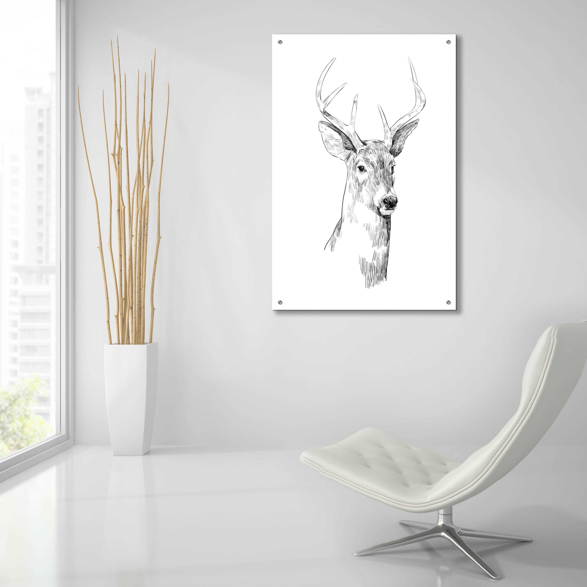 Epic Art 'Young Buck Sketch I' by Emma Scarvey, Acrylic Glass Wall Art,24x36