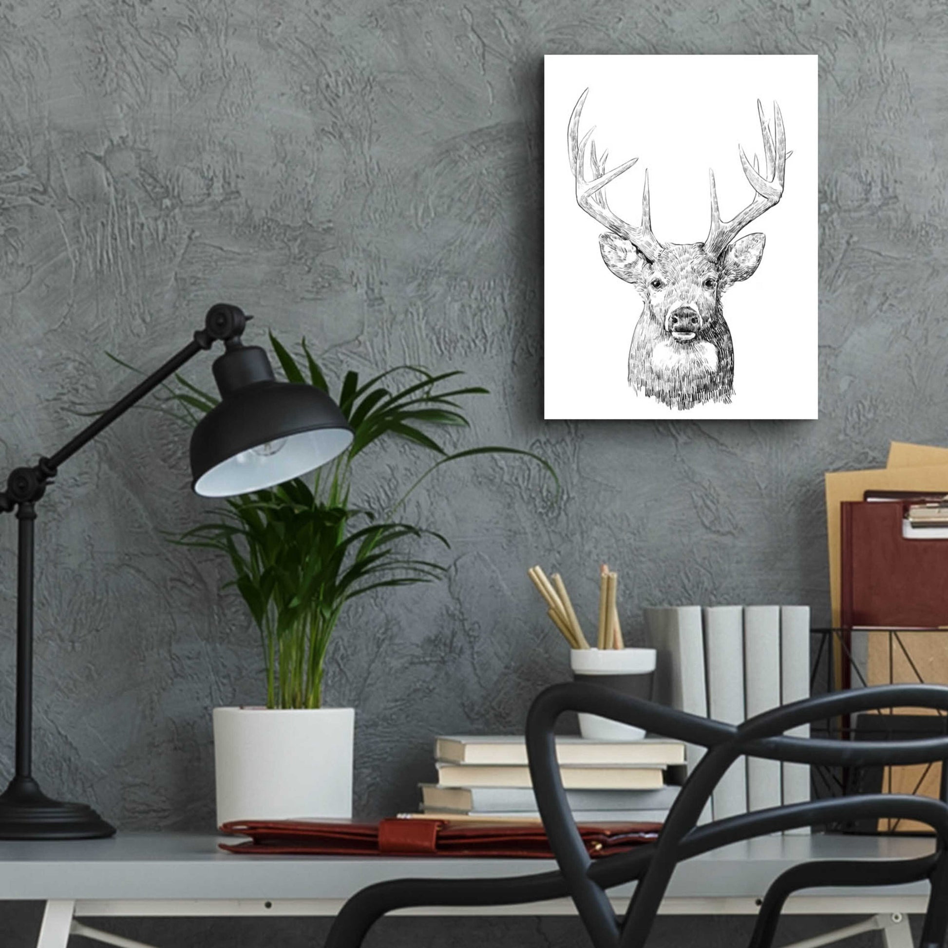 Epic Art 'Young Buck Sketch II' by Emma Scarvey, Acrylic Glass Wall Art,12x16