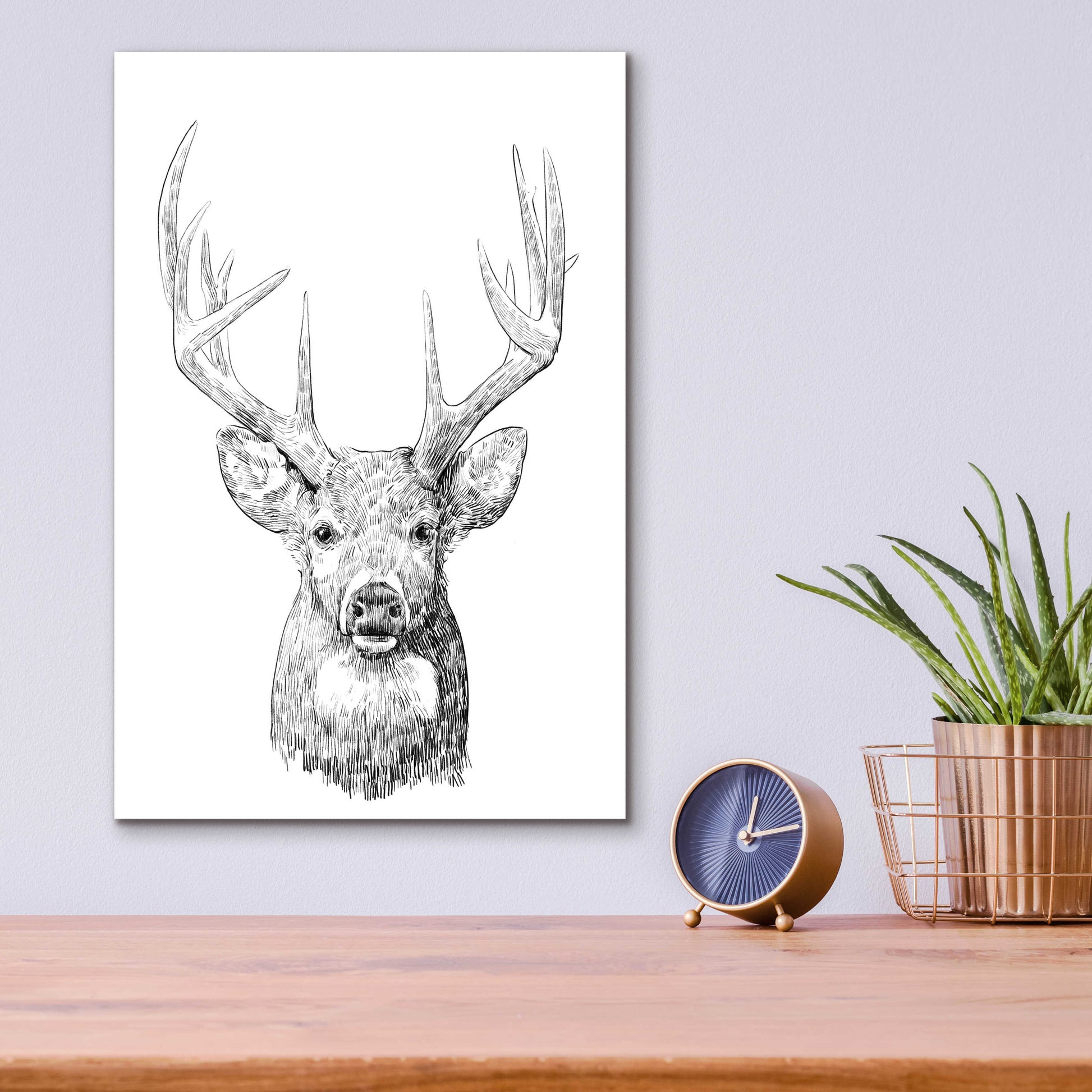 Epic Art 'Young Buck Sketch II' by Emma Scarvey, Acrylic Glass Wall Art,12x16