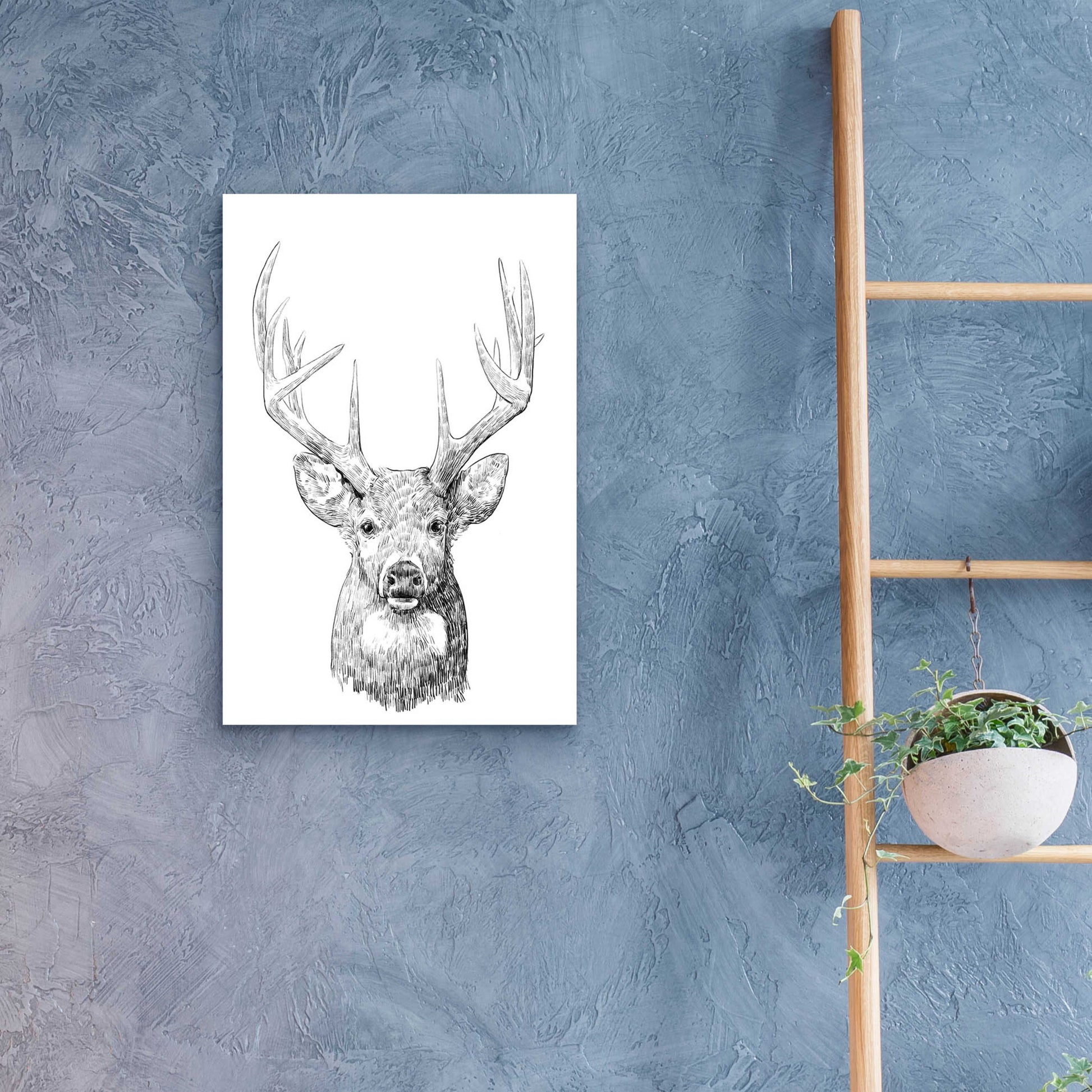 Epic Art 'Young Buck Sketch II' by Emma Scarvey, Acrylic Glass Wall Art,16x24