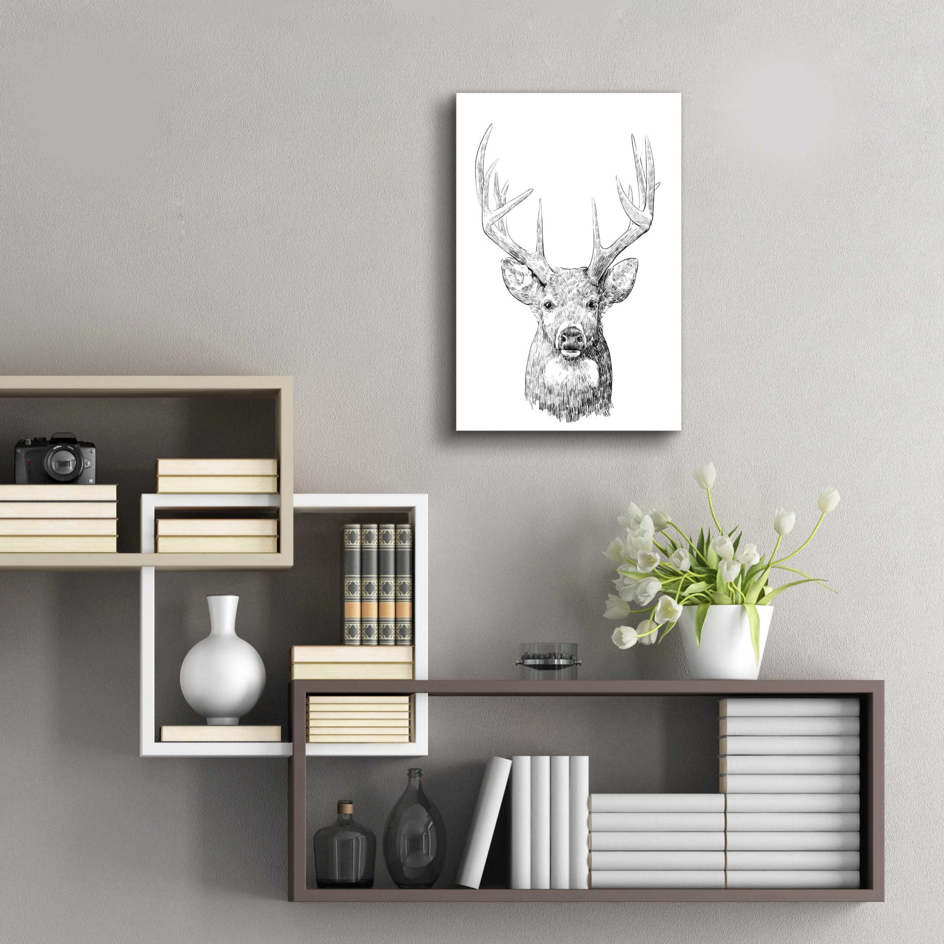 Epic Art 'Young Buck Sketch II' by Emma Scarvey, Acrylic Glass Wall Art,16x24