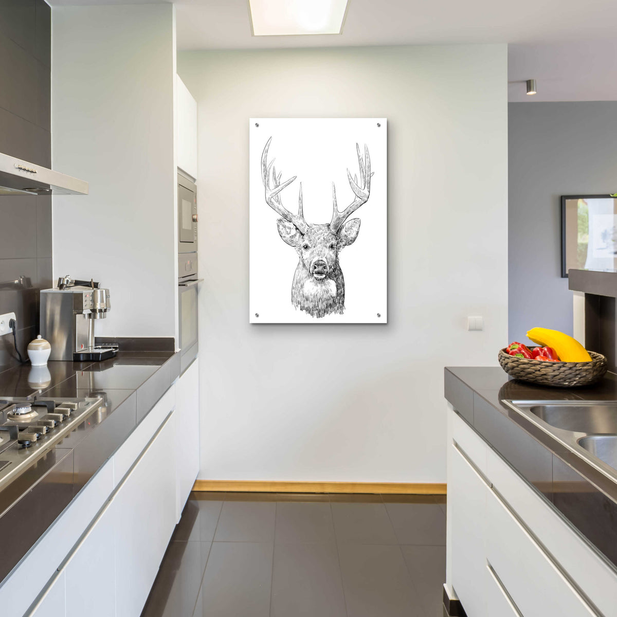 Epic Art 'Young Buck Sketch II' by Emma Scarvey, Acrylic Glass Wall Art,24x36