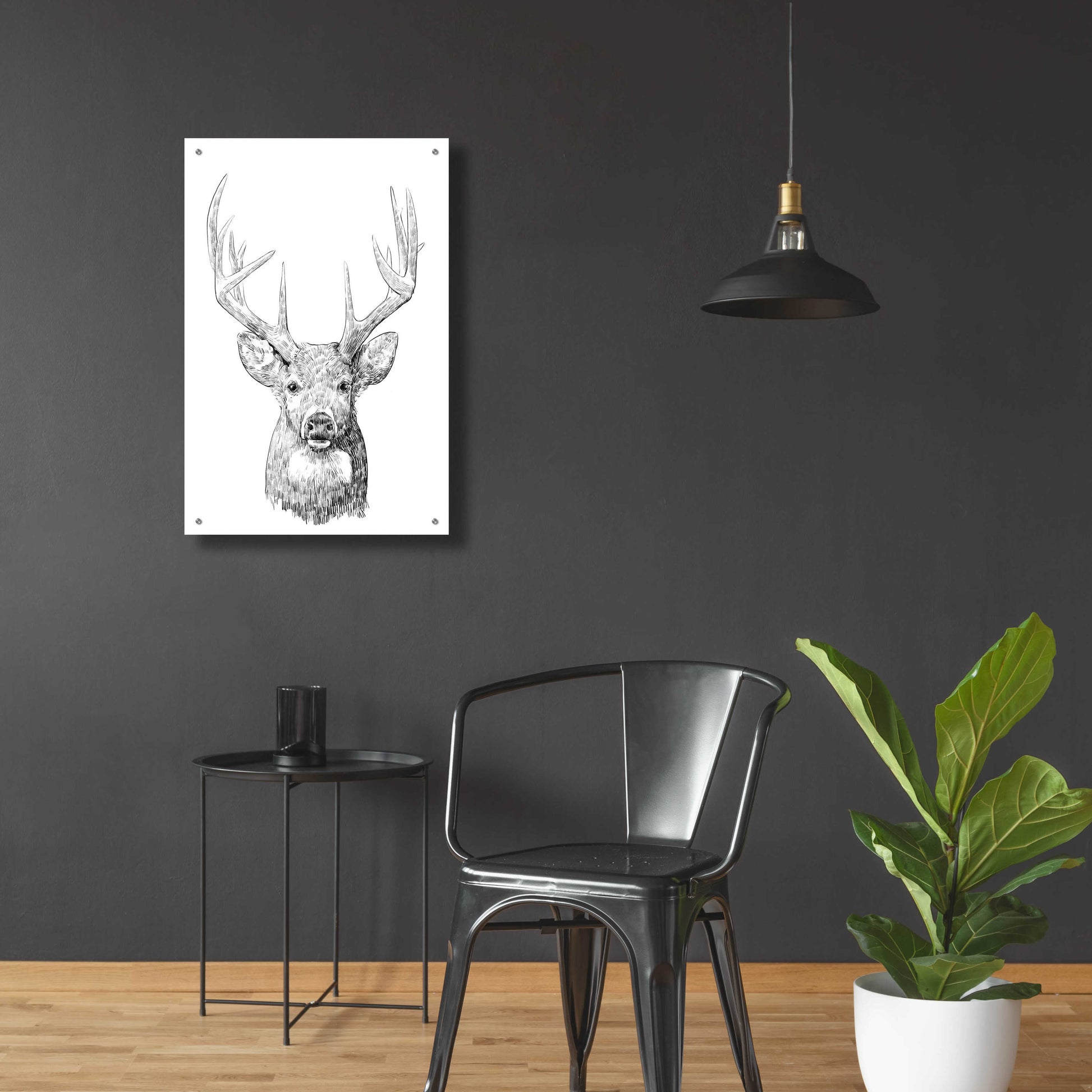 Epic Art 'Young Buck Sketch II' by Emma Scarvey, Acrylic Glass Wall Art,24x36