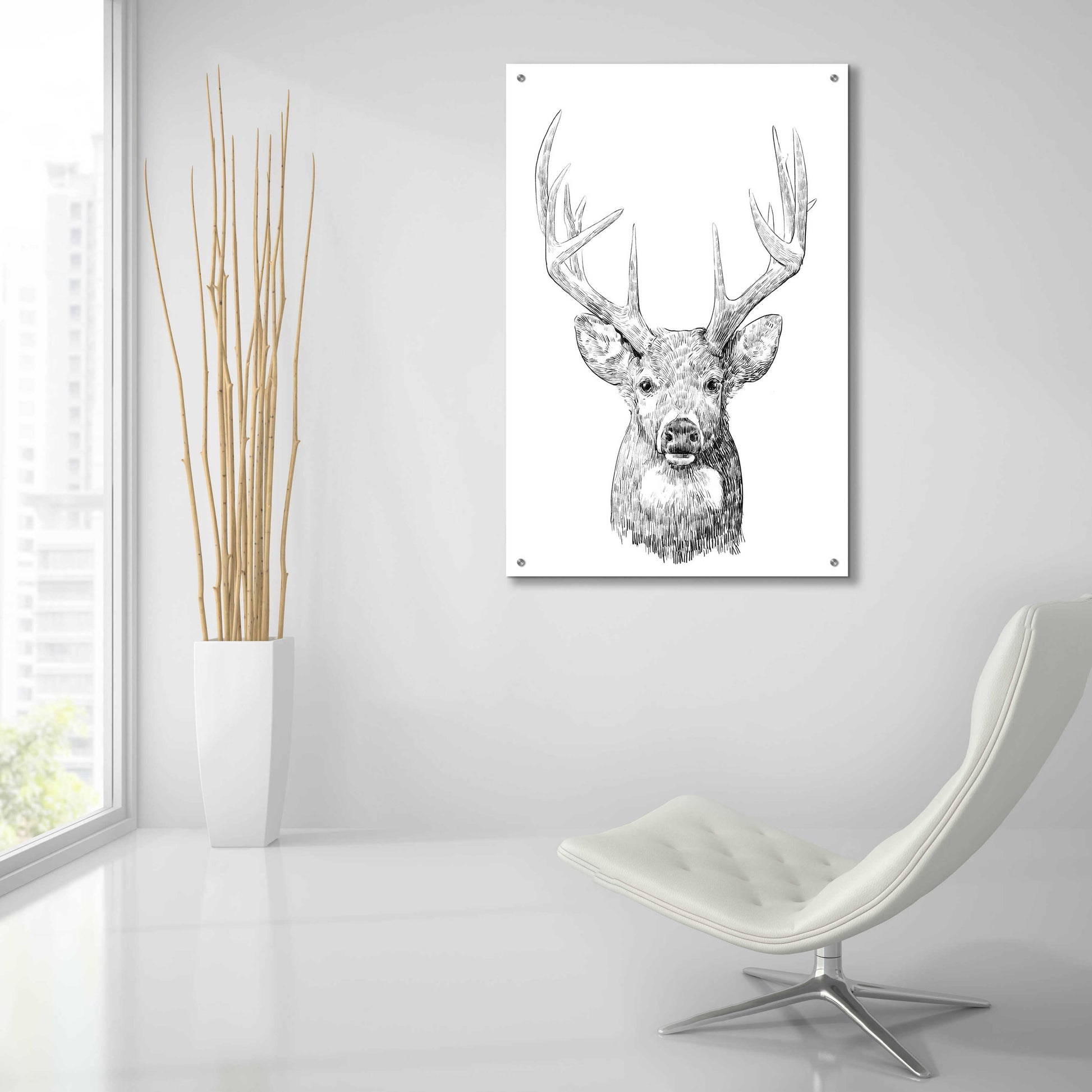 Epic Art 'Young Buck Sketch II' by Emma Scarvey, Acrylic Glass Wall Art,24x36