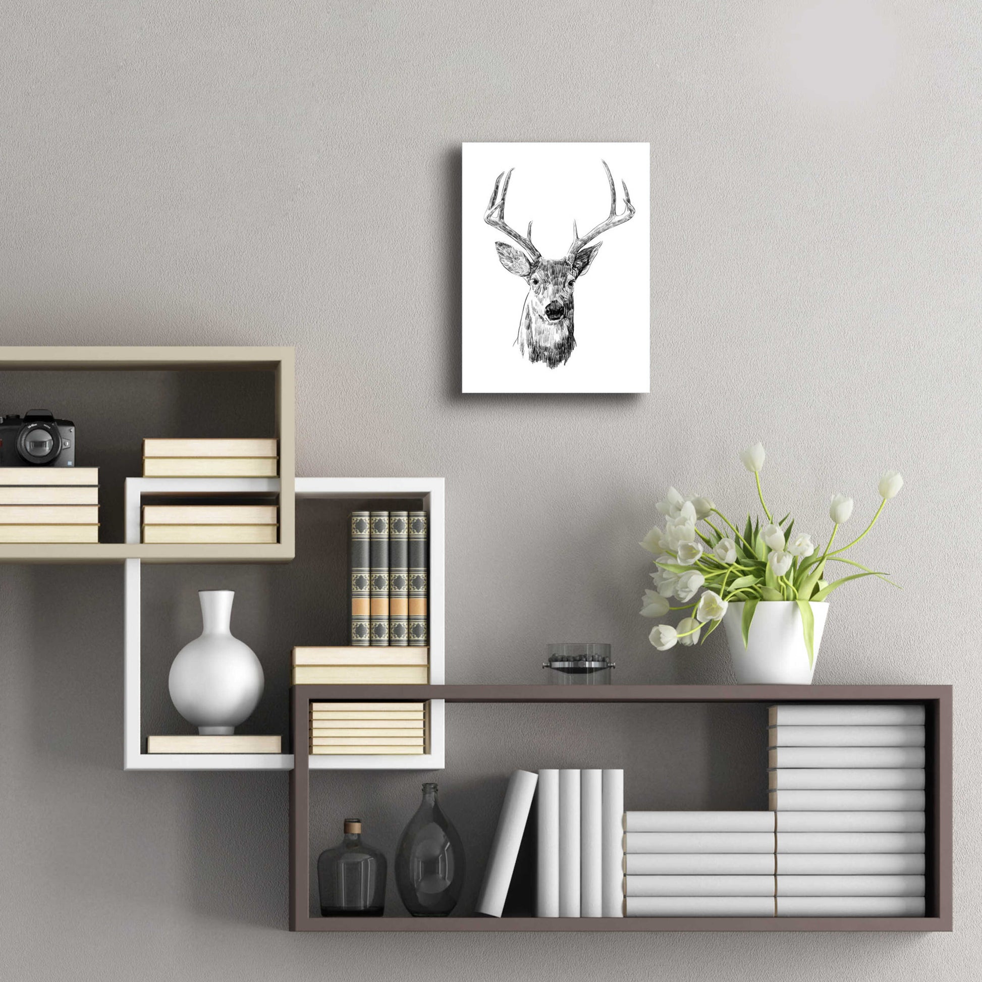 Epic Art 'Young Buck Sketch III' by Emma Scarvey, Acrylic Glass Wall Art,12x16