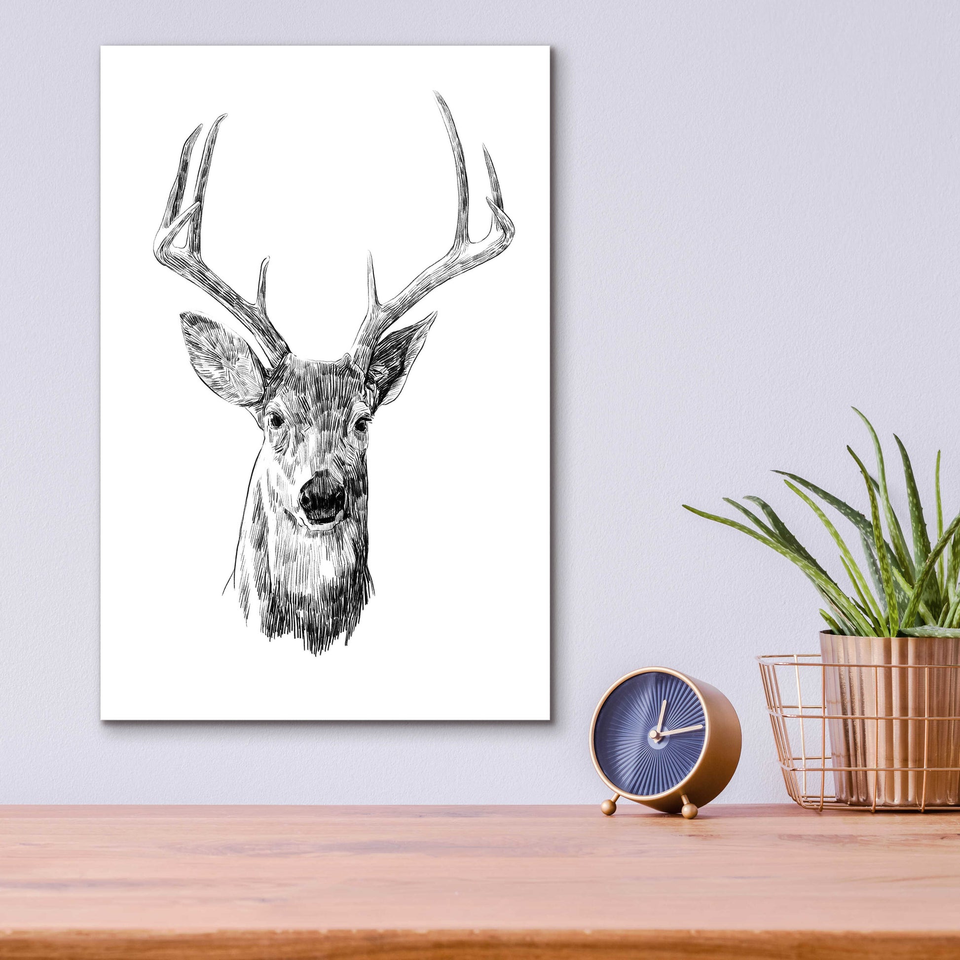 Epic Art 'Young Buck Sketch III' by Emma Scarvey, Acrylic Glass Wall Art,12x16