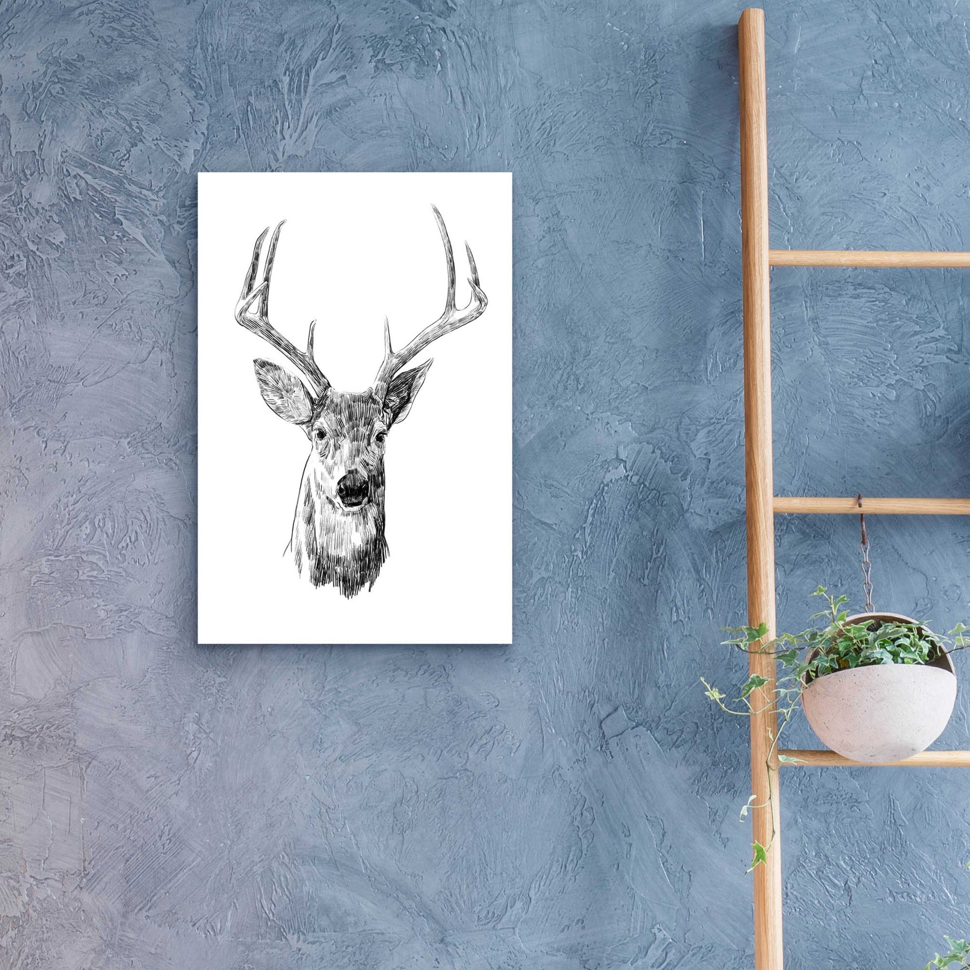 Epic Art 'Young Buck Sketch III' by Emma Scarvey, Acrylic Glass Wall Art,16x24