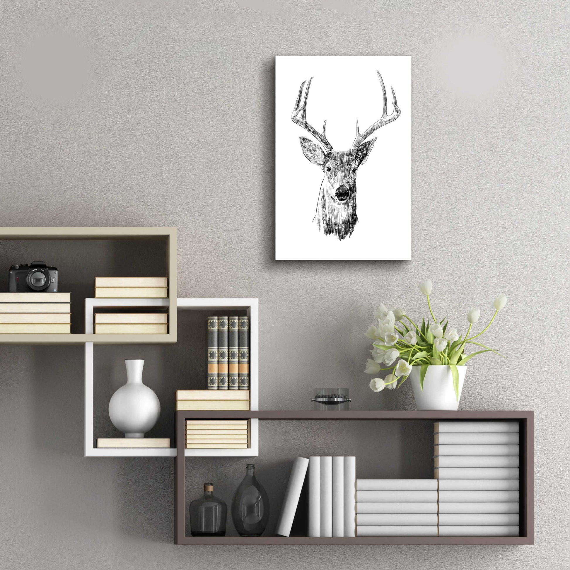 Epic Art 'Young Buck Sketch III' by Emma Scarvey, Acrylic Glass Wall Art,16x24