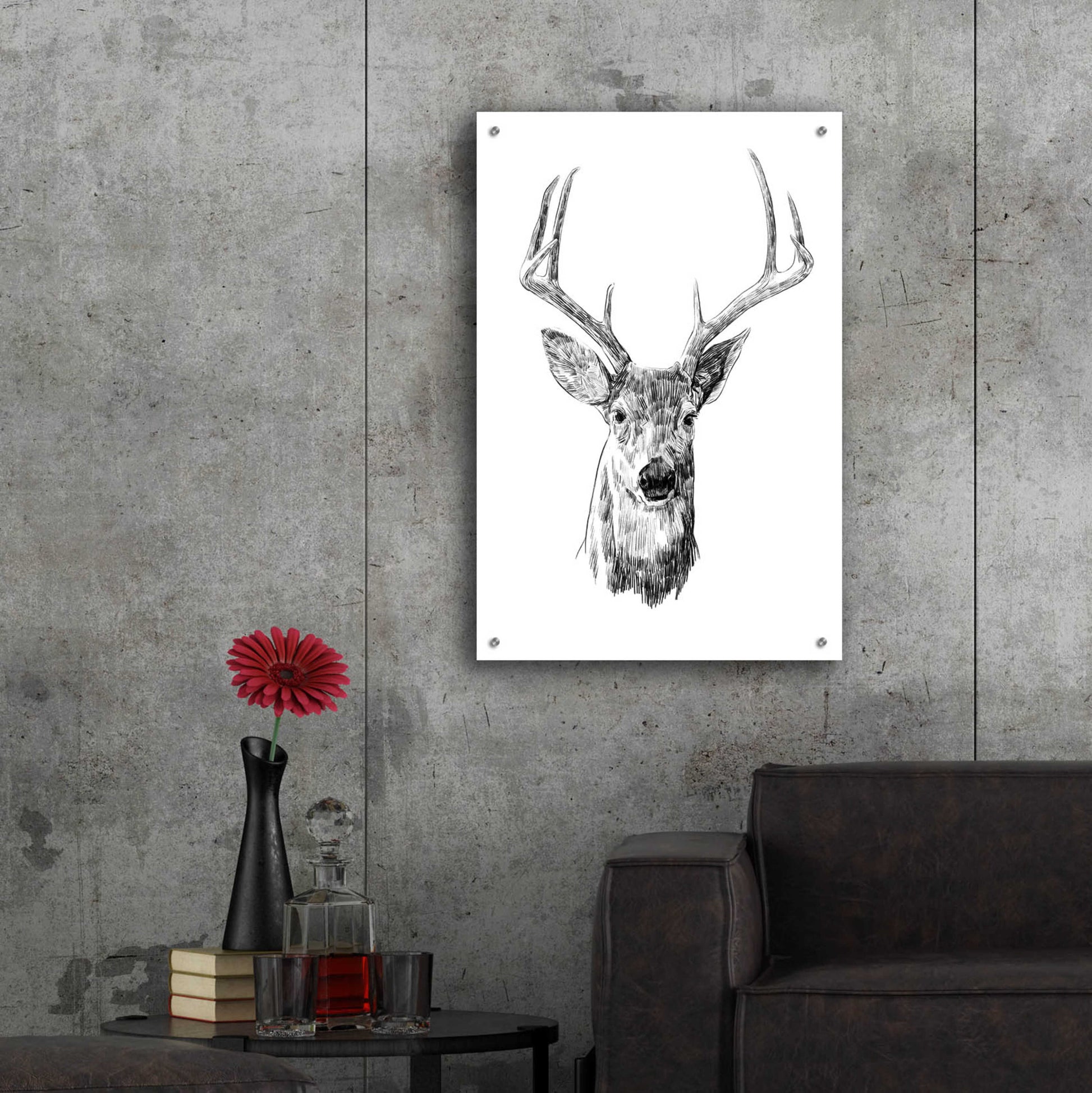 Epic Art 'Young Buck Sketch III' by Emma Scarvey, Acrylic Glass Wall Art,24x36