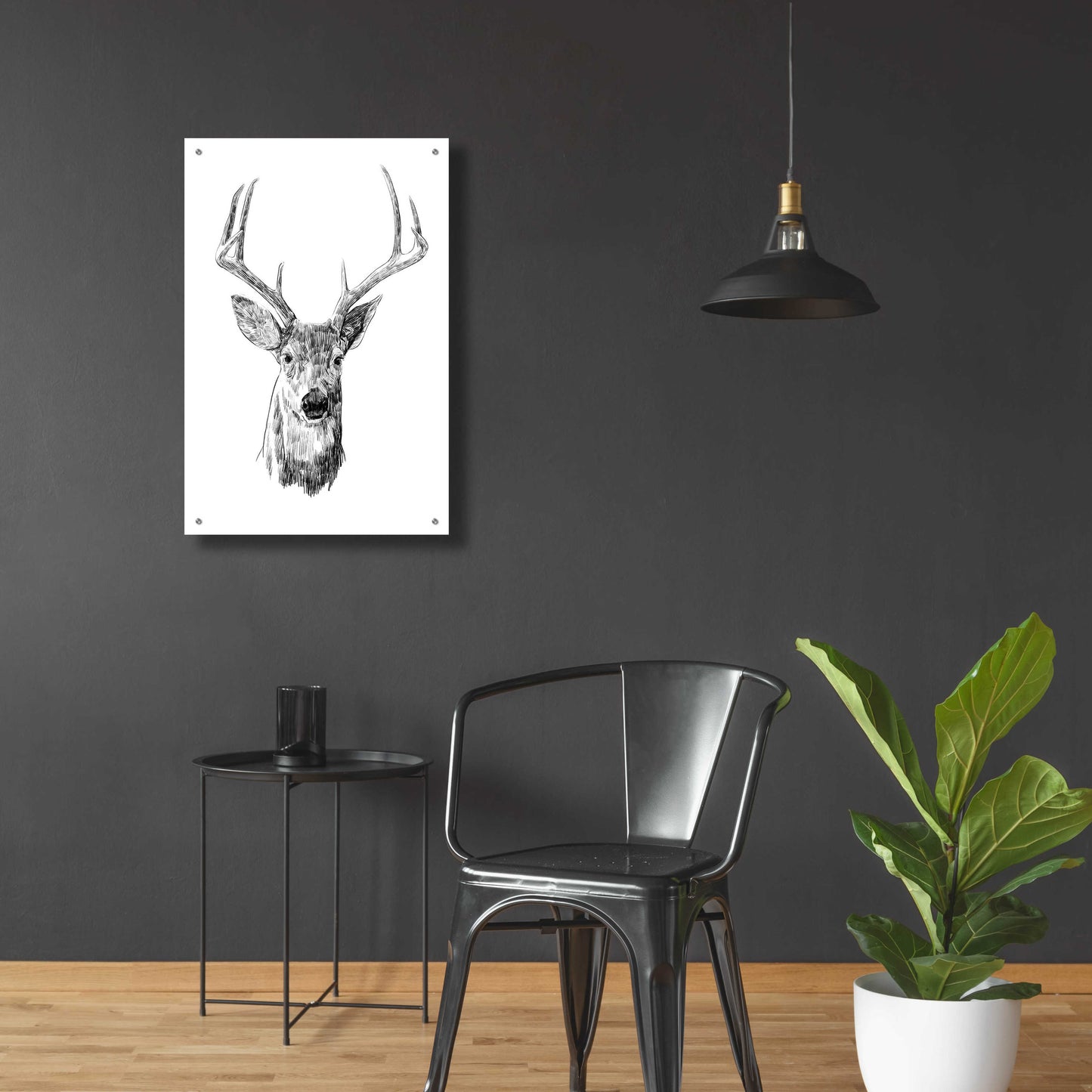 Epic Art 'Young Buck Sketch III' by Emma Scarvey, Acrylic Glass Wall Art,24x36