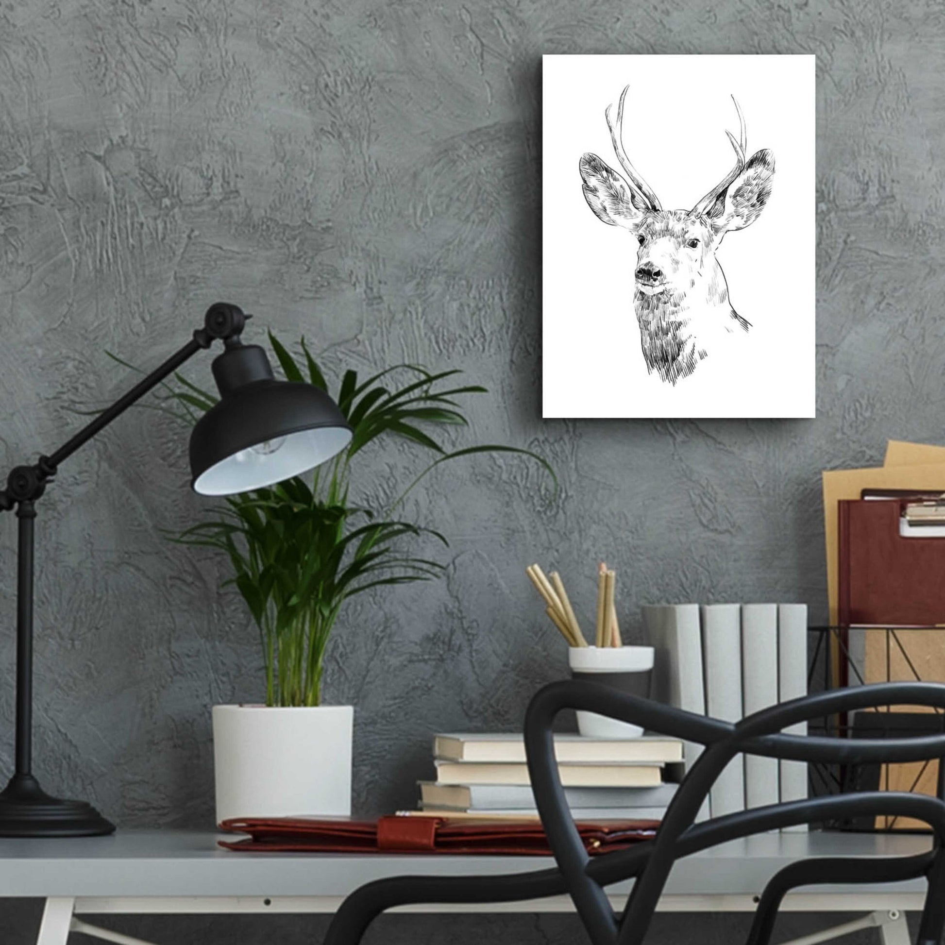 Epic Art 'Young Buck Sketch IV' by Emma Scarvey, Acrylic Glass Wall Art,12x16