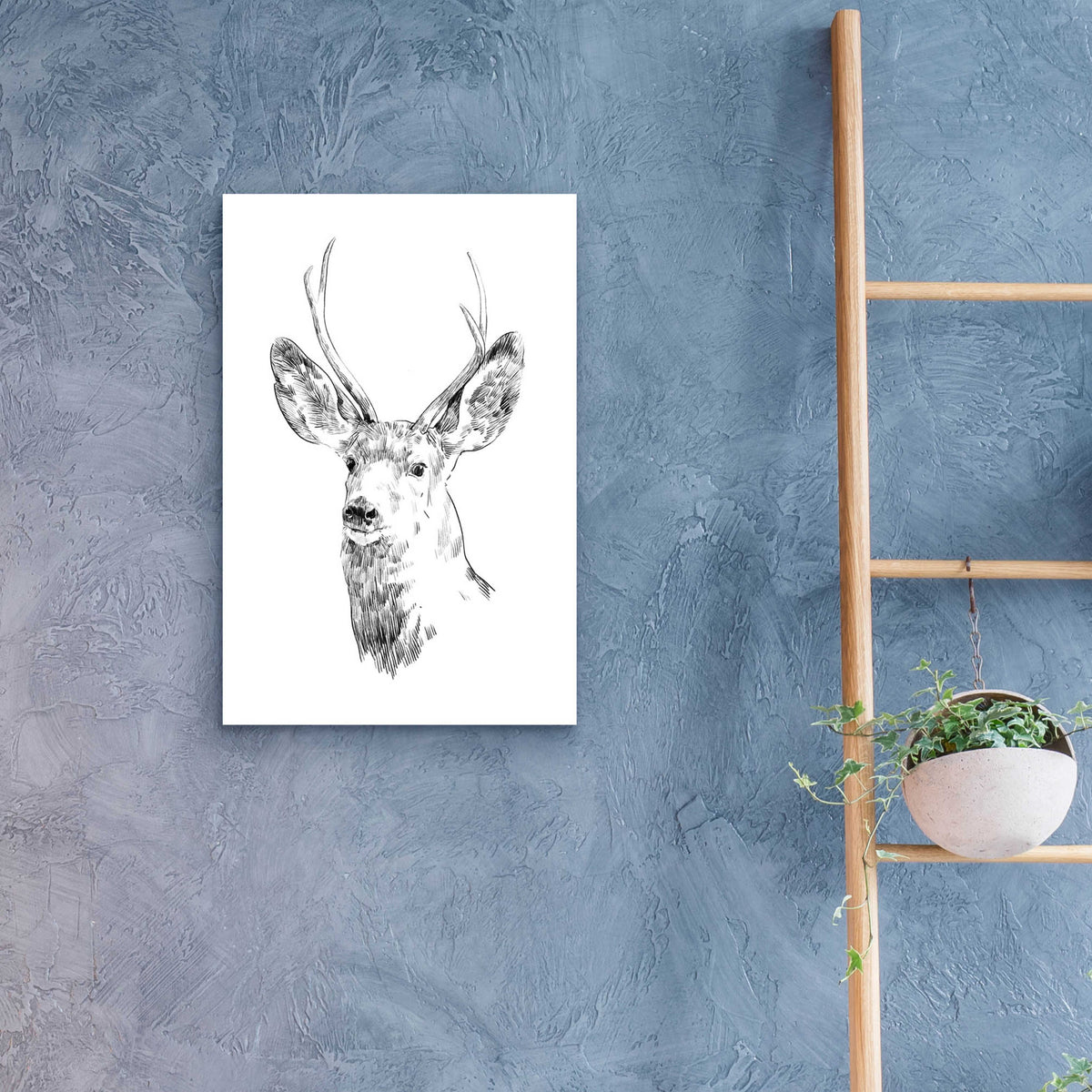 Epic Art 'Young Buck Sketch IV' by Emma Scarvey, Acrylic Glass Wall Art,16x24