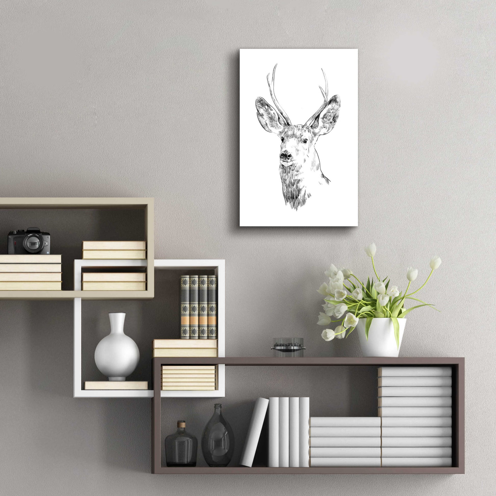 Epic Art 'Young Buck Sketch IV' by Emma Scarvey, Acrylic Glass Wall Art,16x24