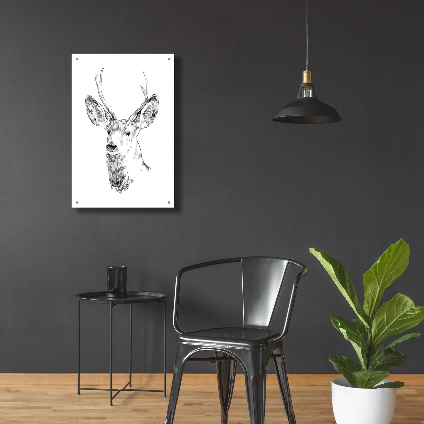 Epic Art 'Young Buck Sketch IV' by Emma Scarvey, Acrylic Glass Wall Art,24x36